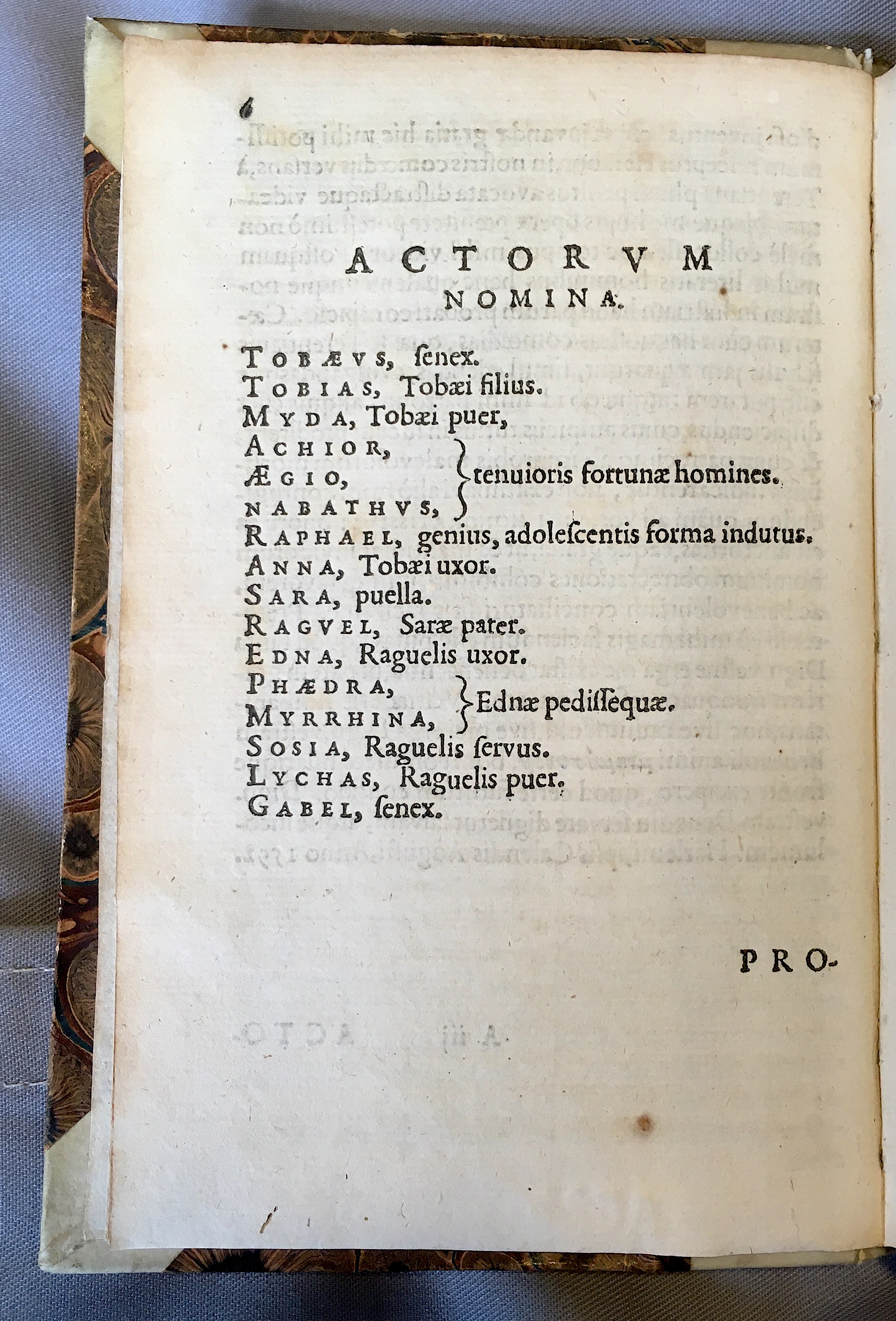 SchonaeusTobaeus1592p06.jpg