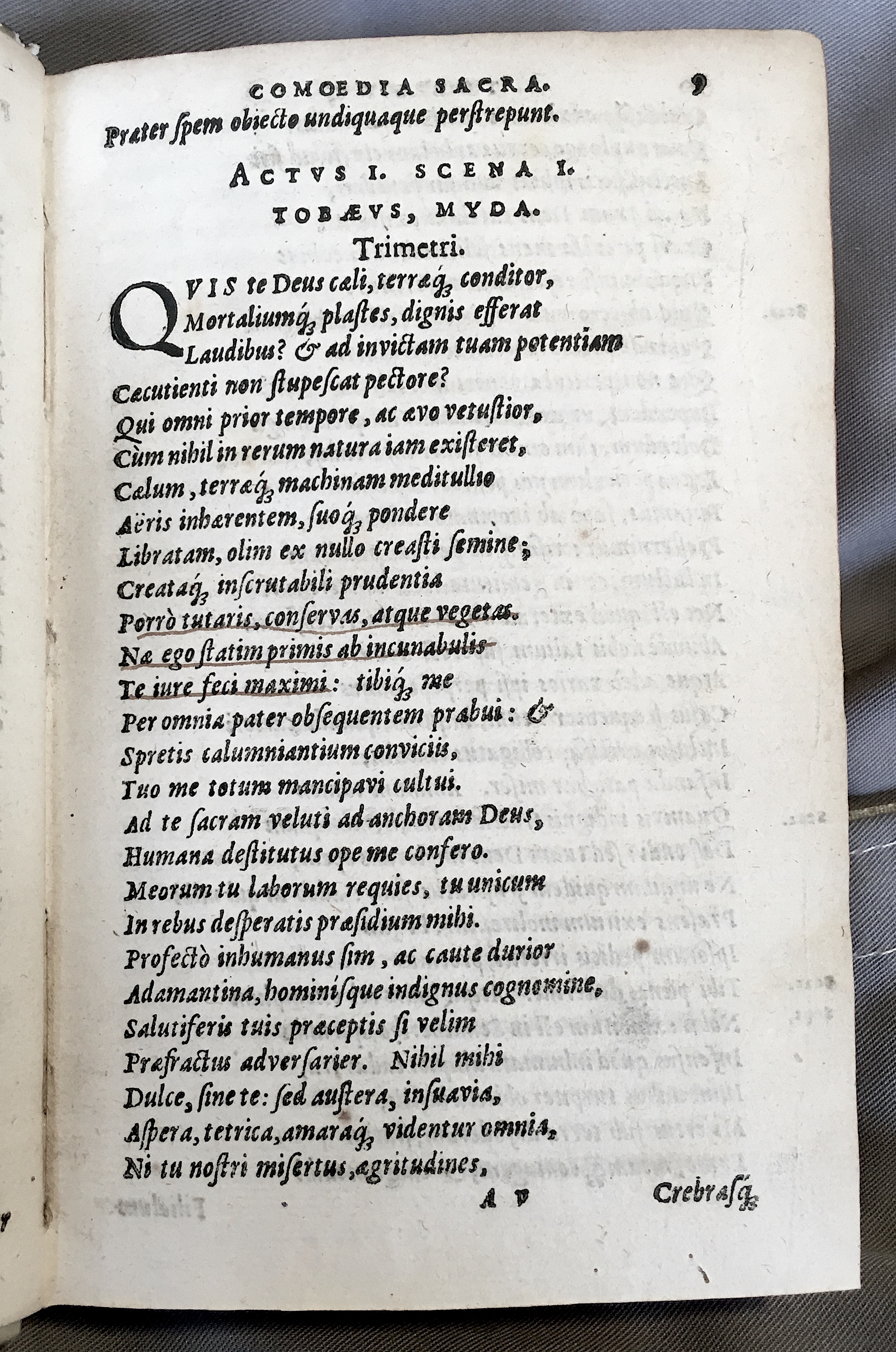 SchonaeusTobaeus1592p09.jpg