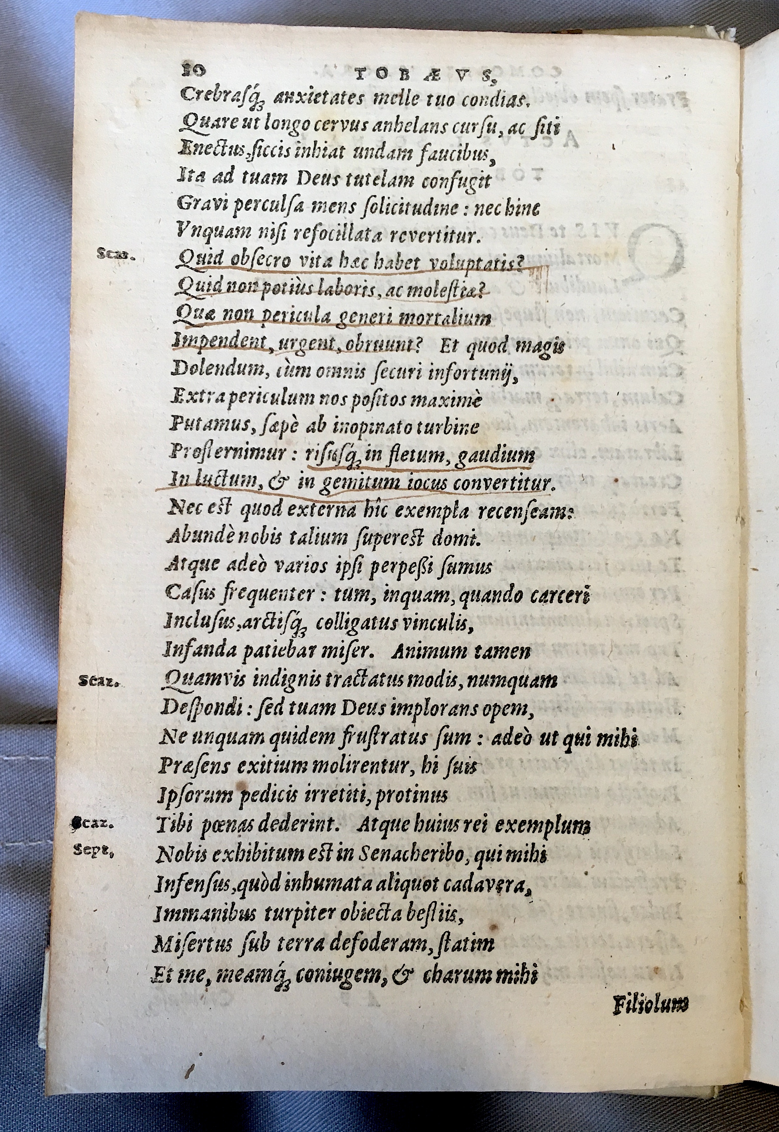 SchonaeusTobaeus1592p10.jpg