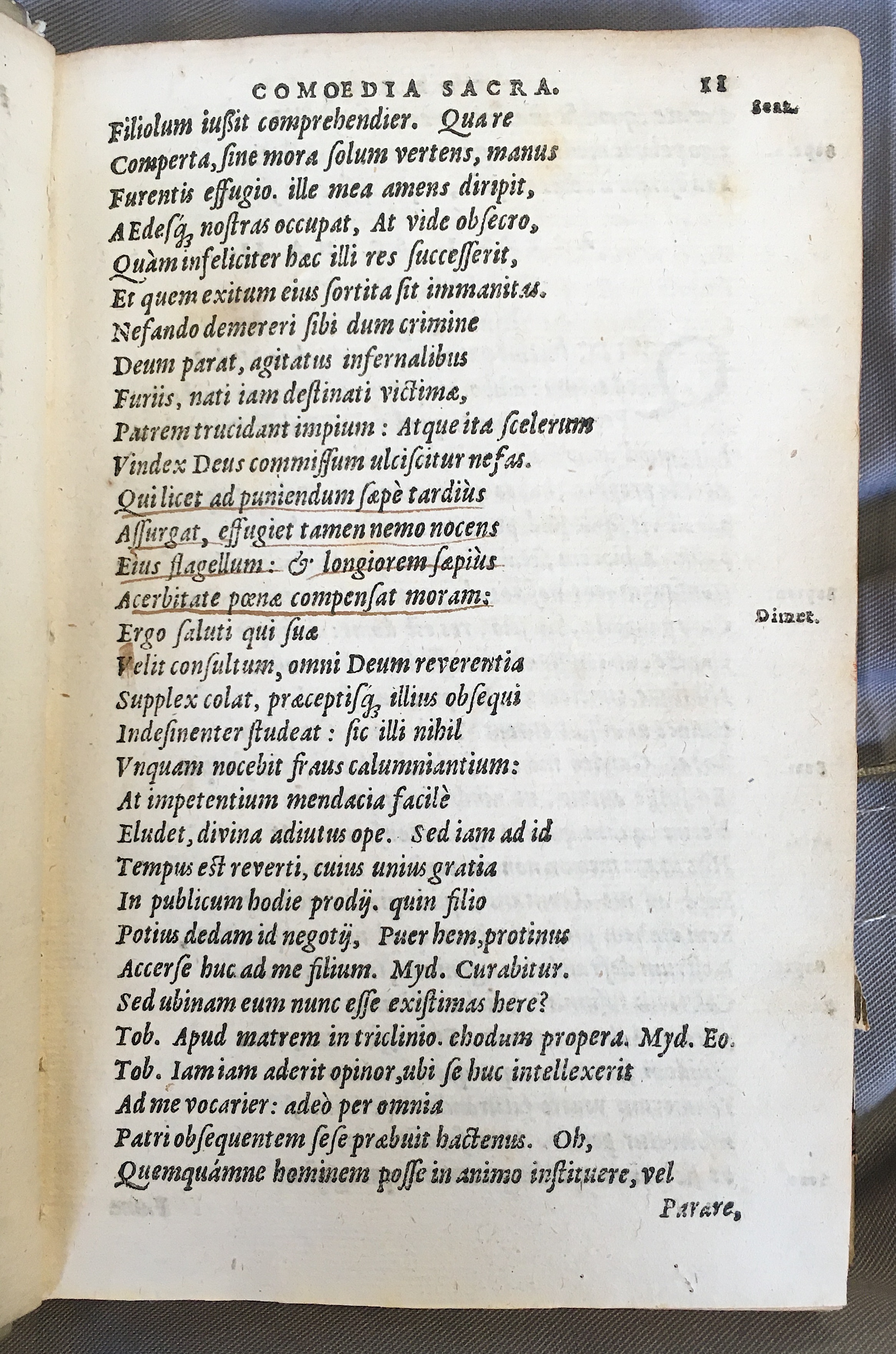 SchonaeusTobaeus1592p11.jpg