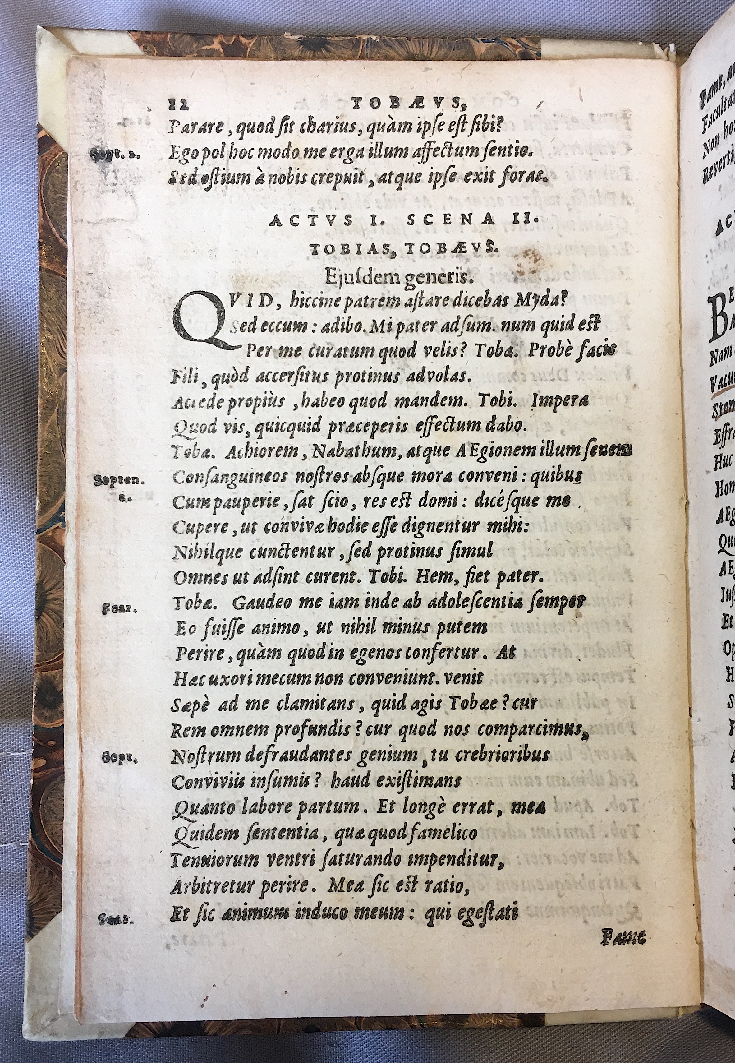 SchonaeusTobaeus1592p12.jpg