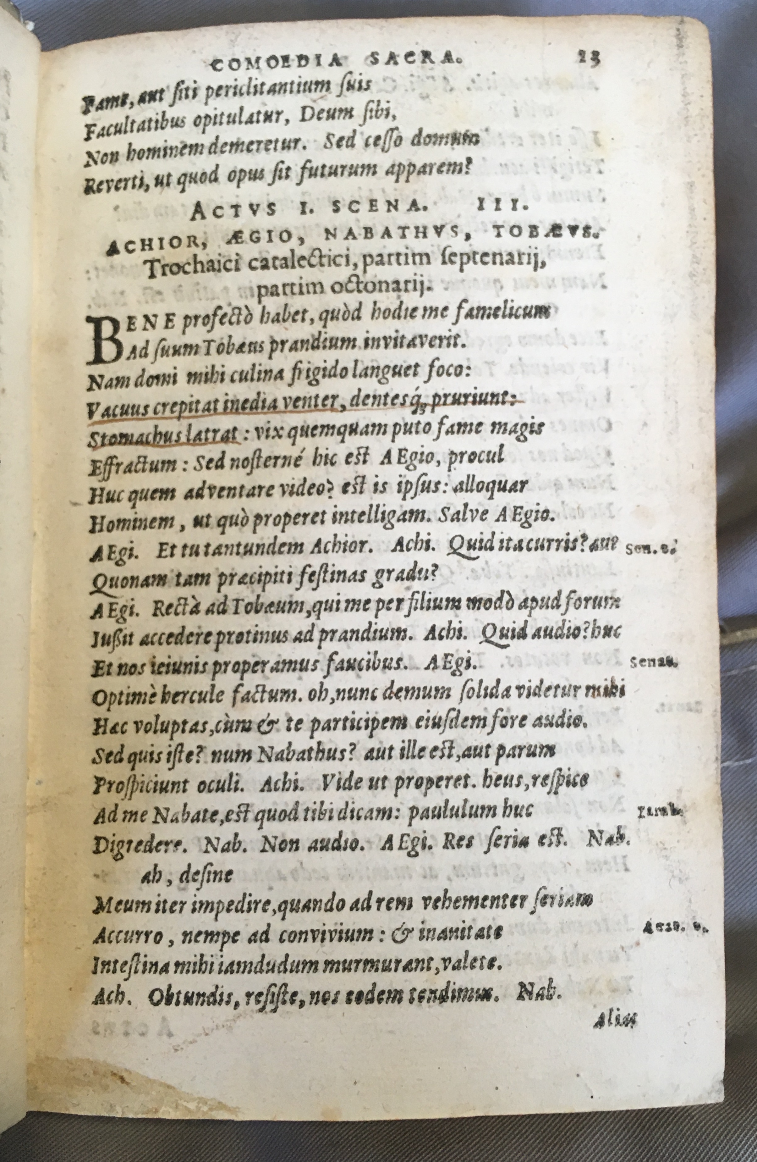 SchonaeusTobaeus1592p13.jpg