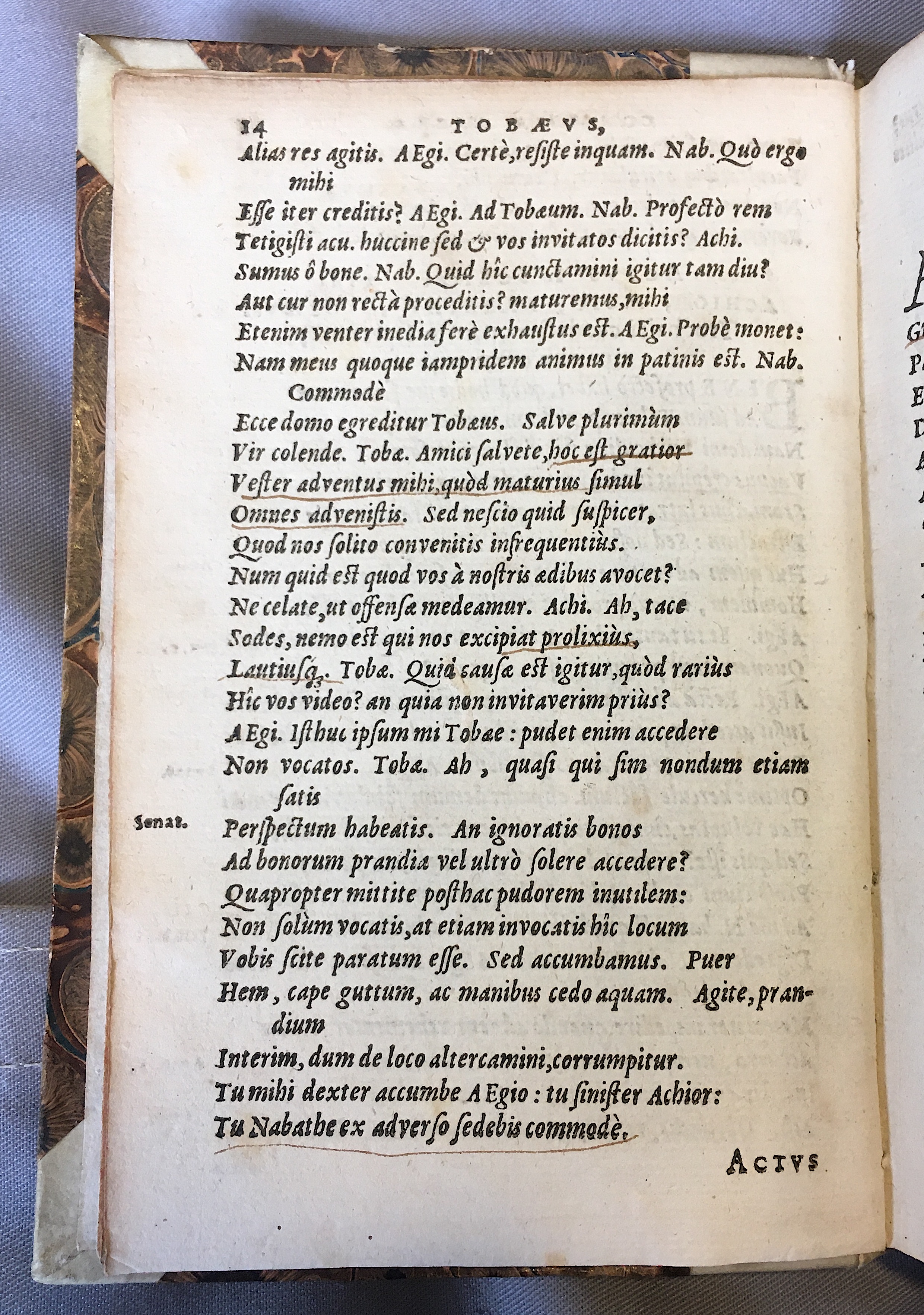 SchonaeusTobaeus1592p14.jpg