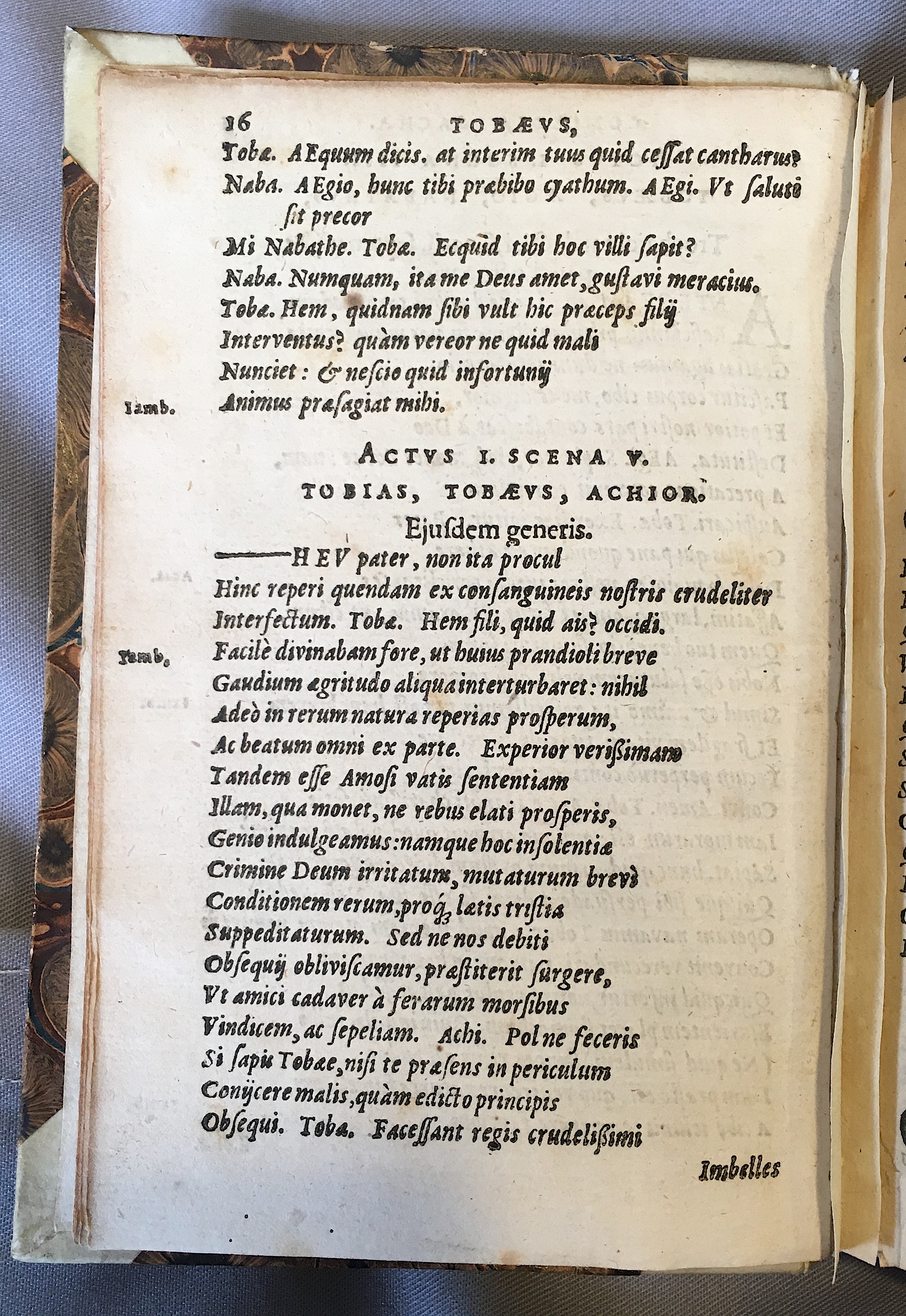 SchonaeusTobaeus1592p16.jpg