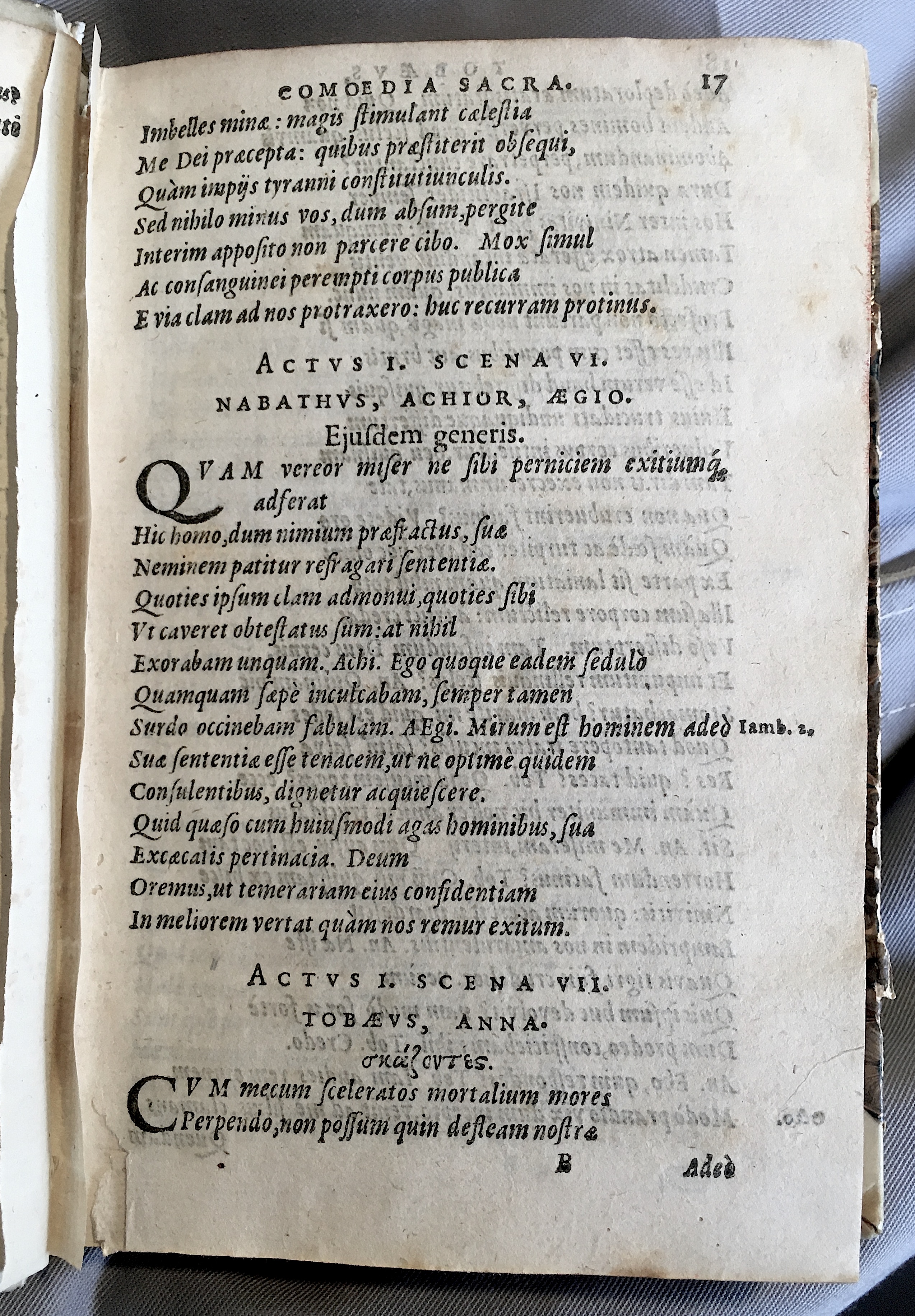 SchonaeusTobaeus1592p17.jpg