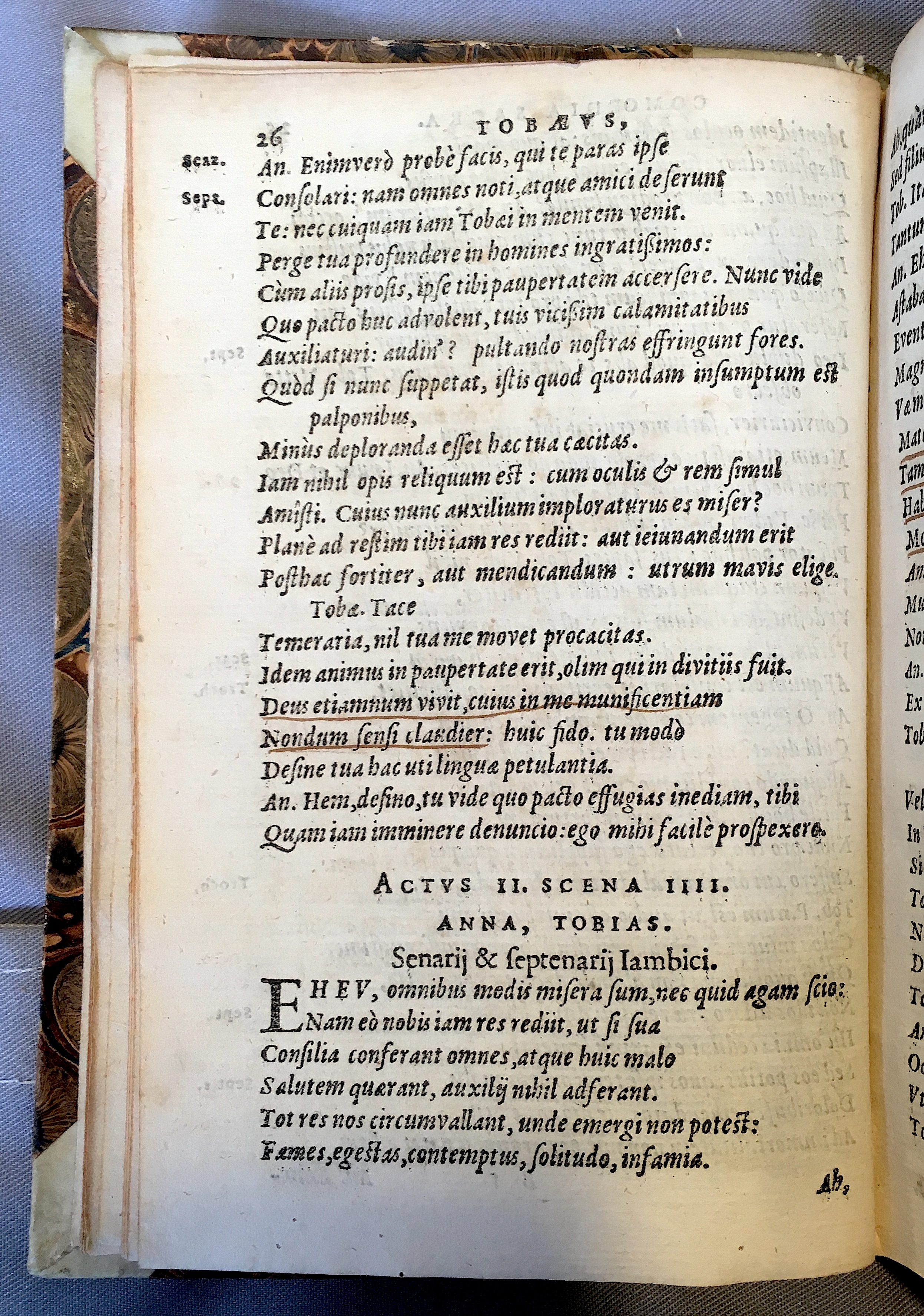 SchonaeusTobaeus1592p26.jpg