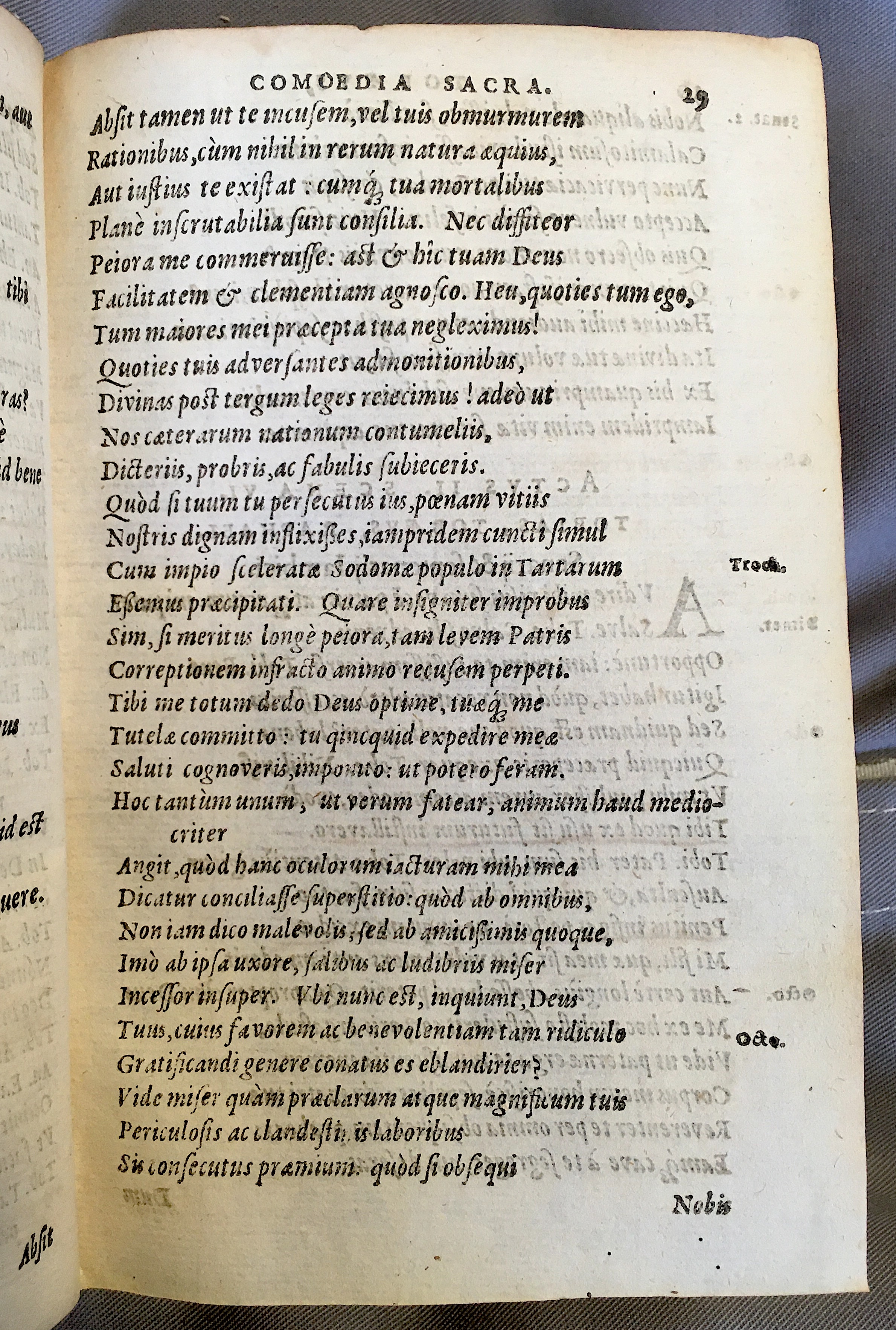 SchonaeusTobaeus1592p29.jpg