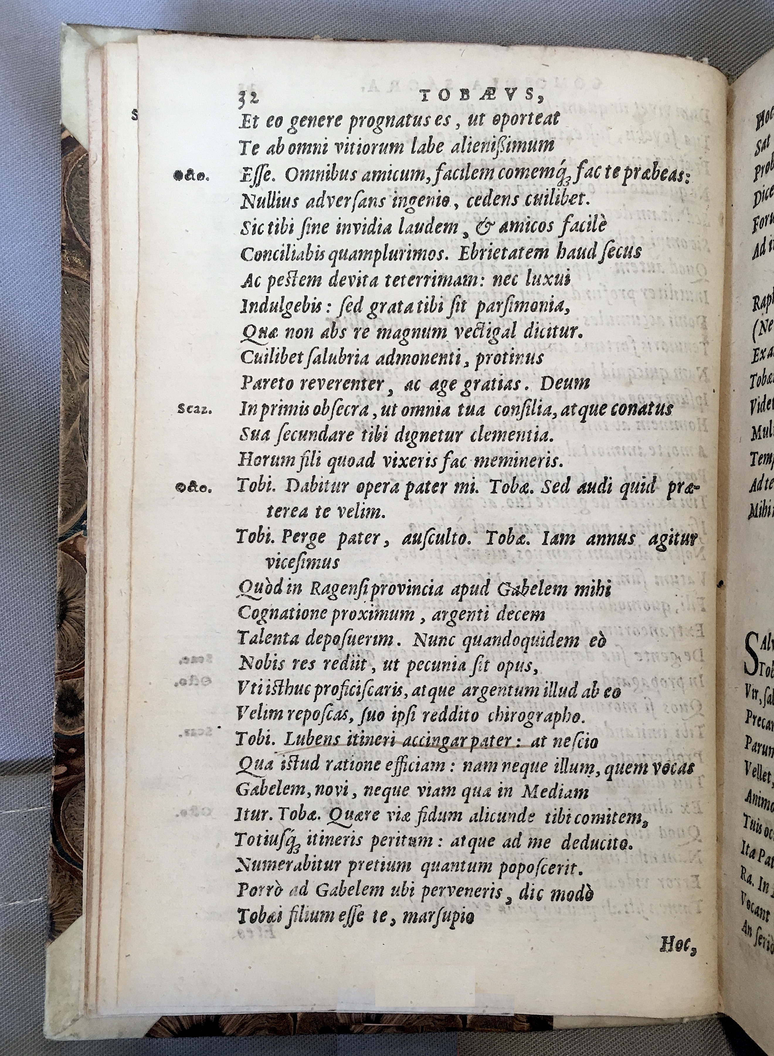 SchonaeusTobaeus1592p32.jpg