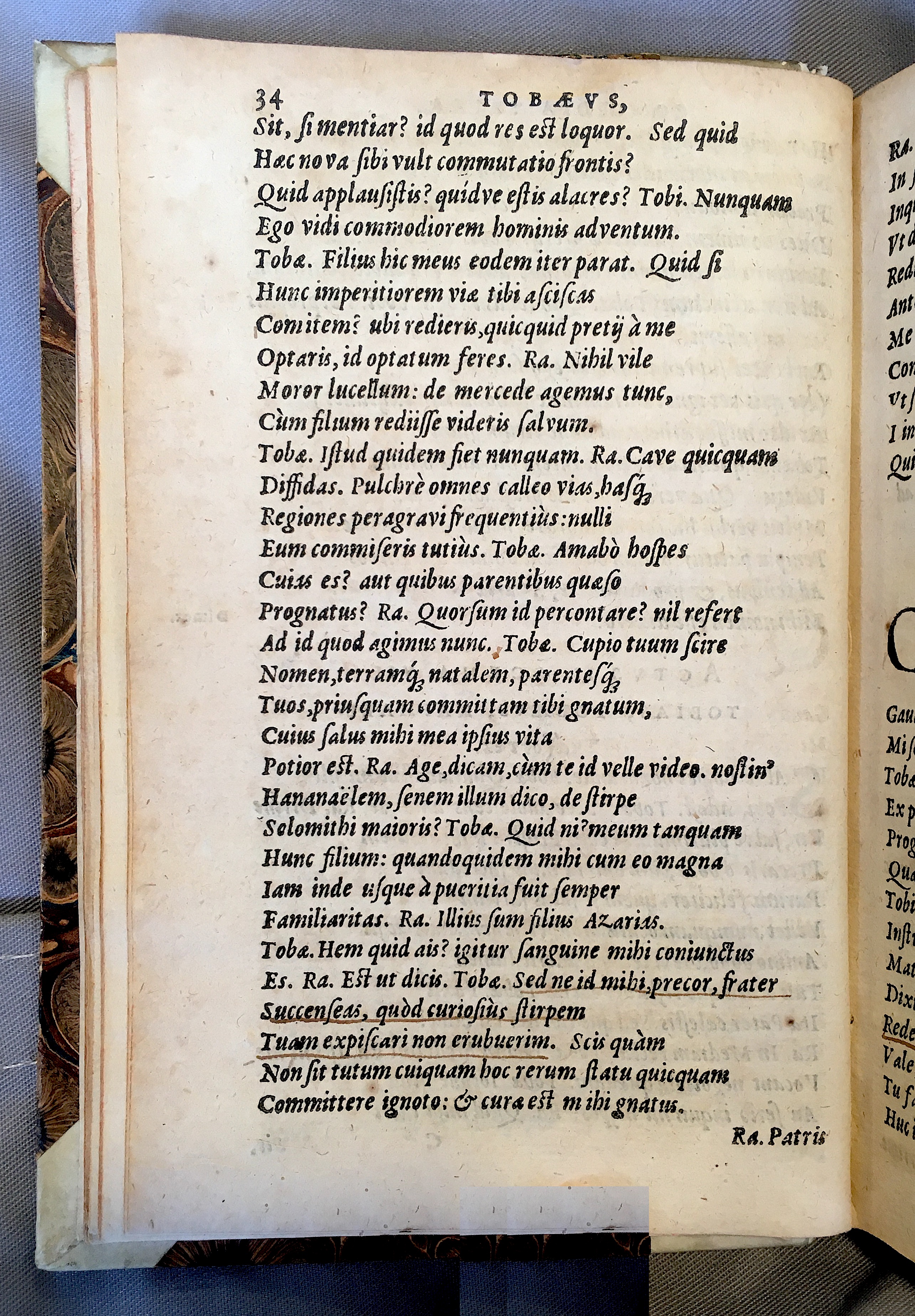 SchonaeusTobaeus1592p34.jpg