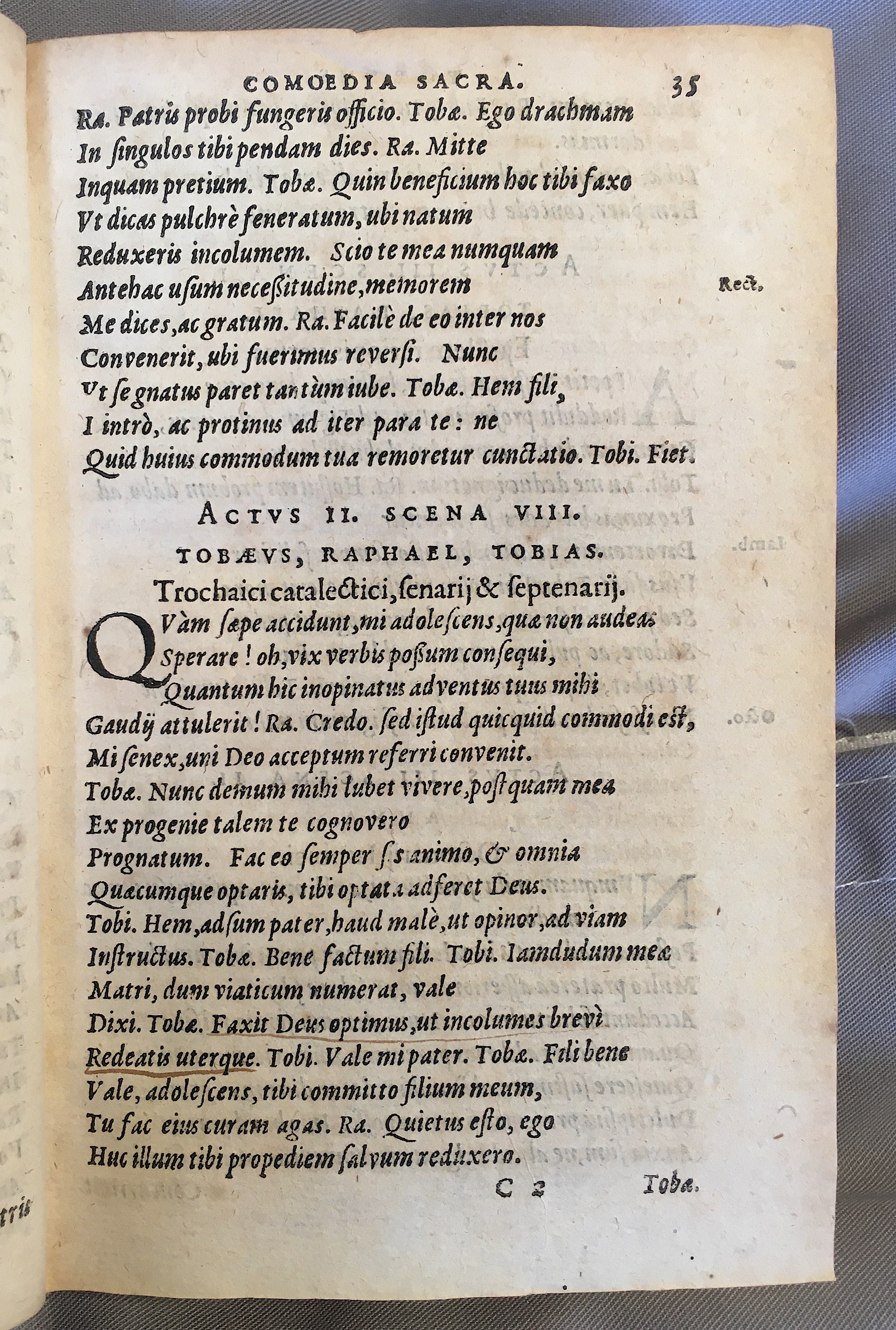 SchonaeusTobaeus1592p35.jpg