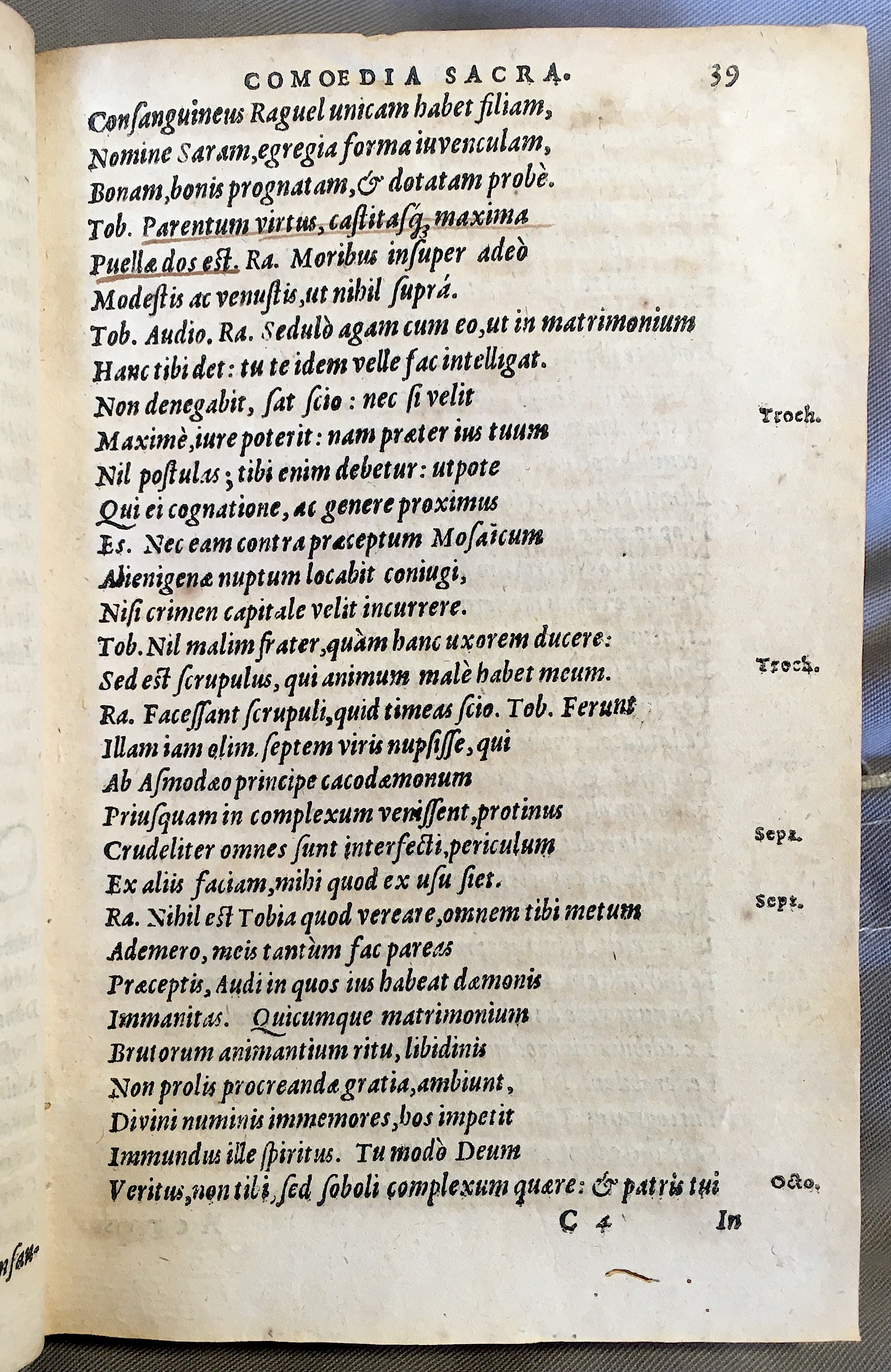 SchonaeusTobaeus1592p39.jpg