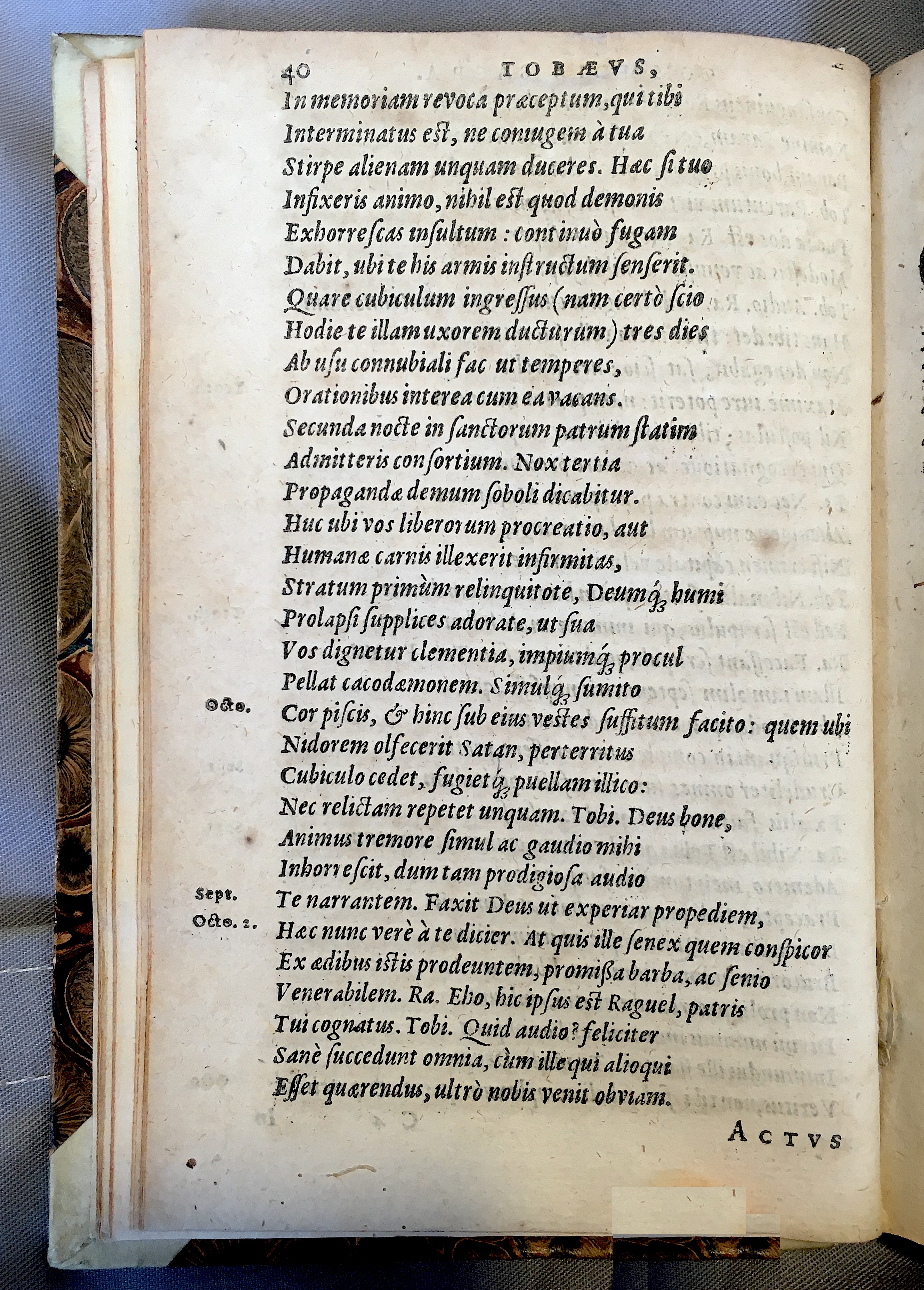 SchonaeusTobaeus1592p40.jpg