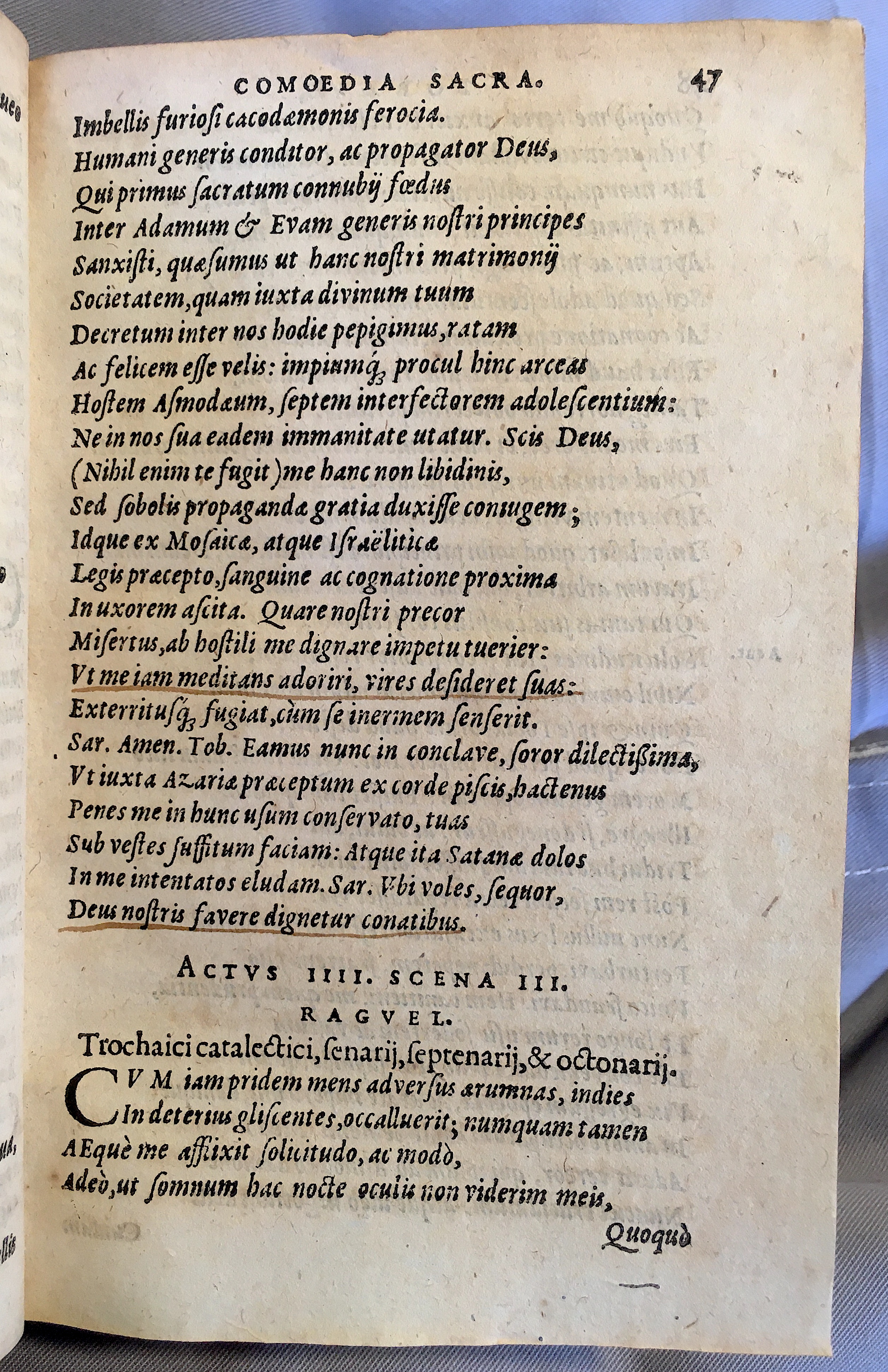 SchonaeusTobaeus1592p47.jpg