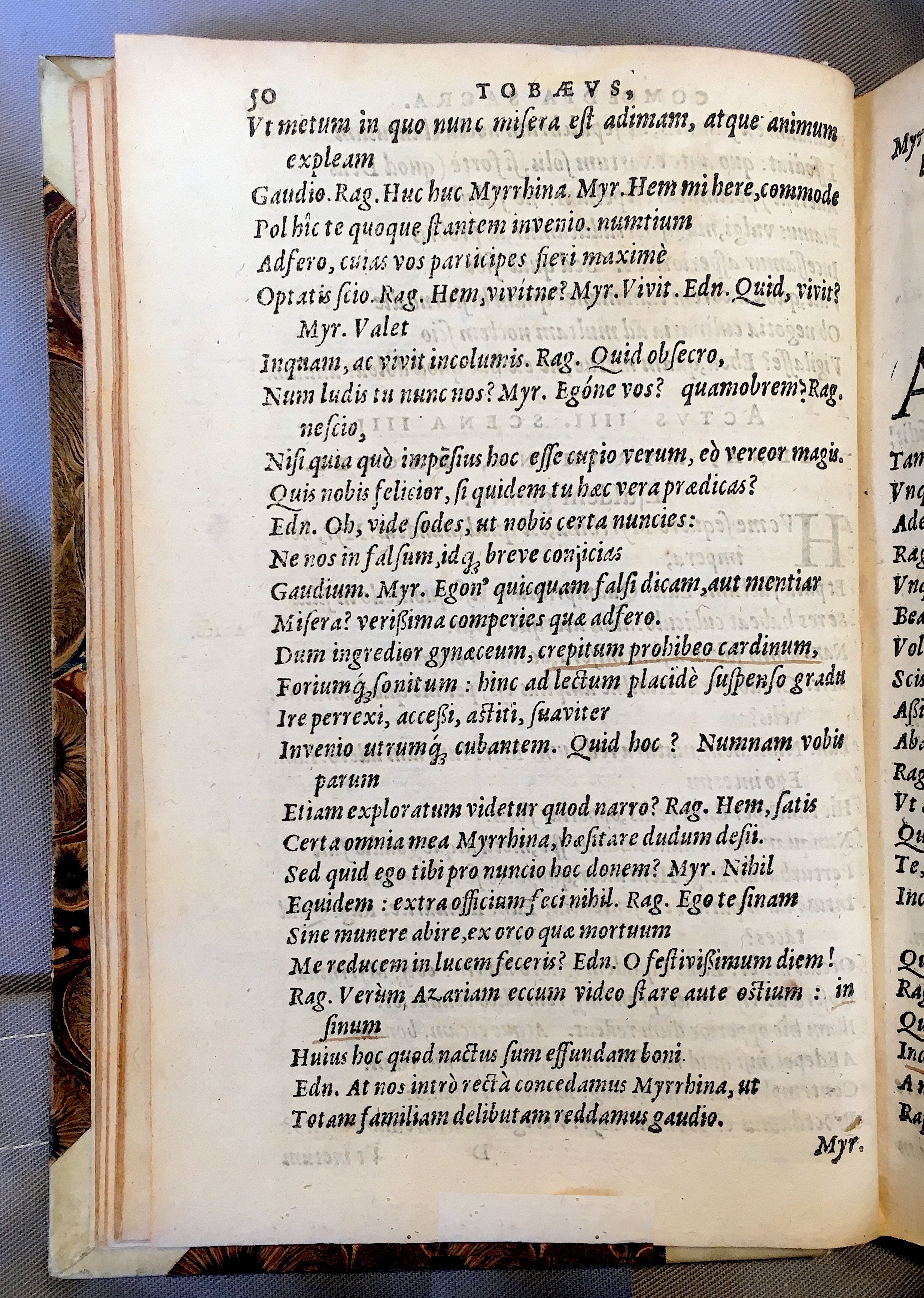 SchonaeusTobaeus1592p50.jpg