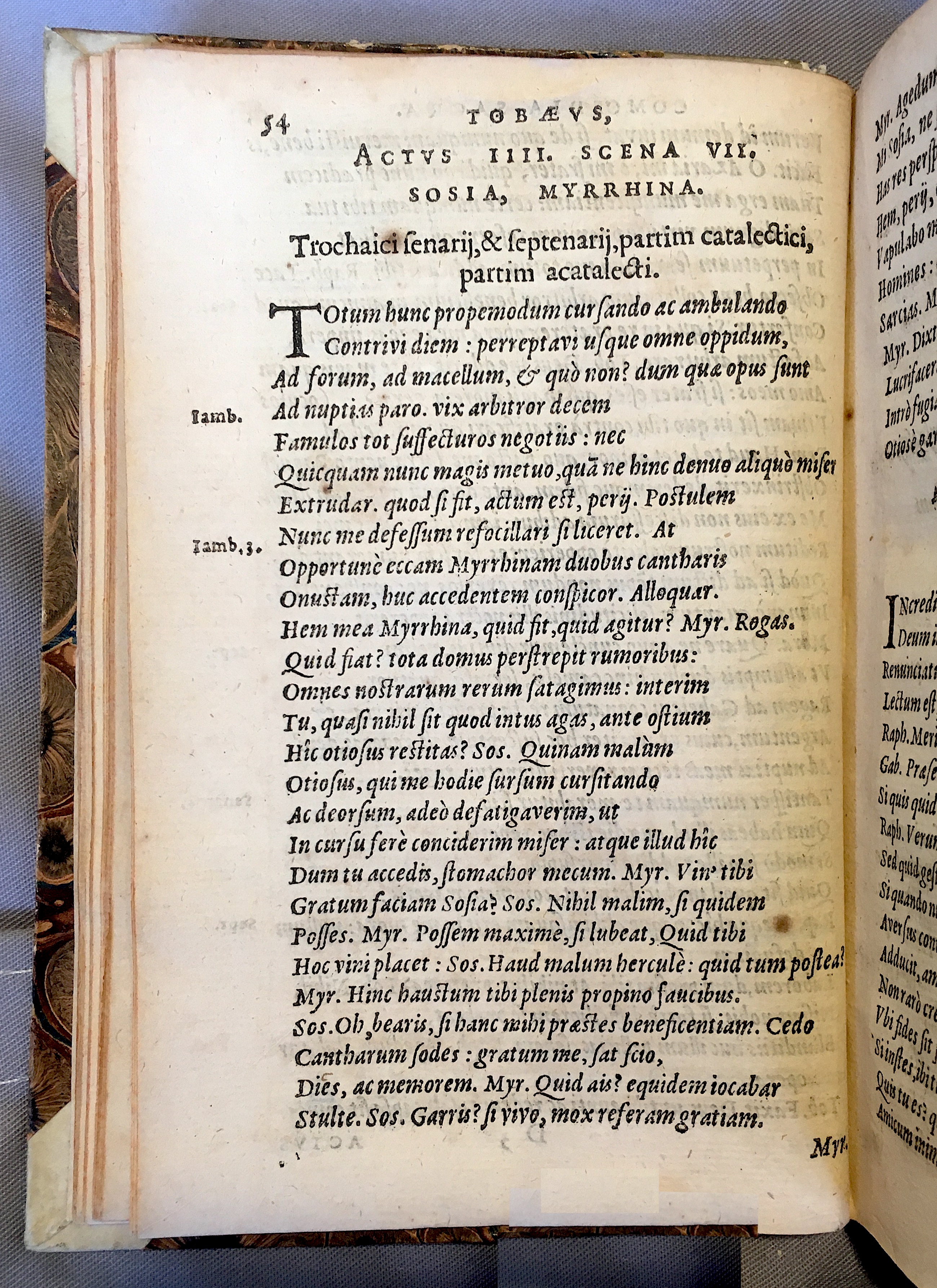 SchonaeusTobaeus1592p54.jpg