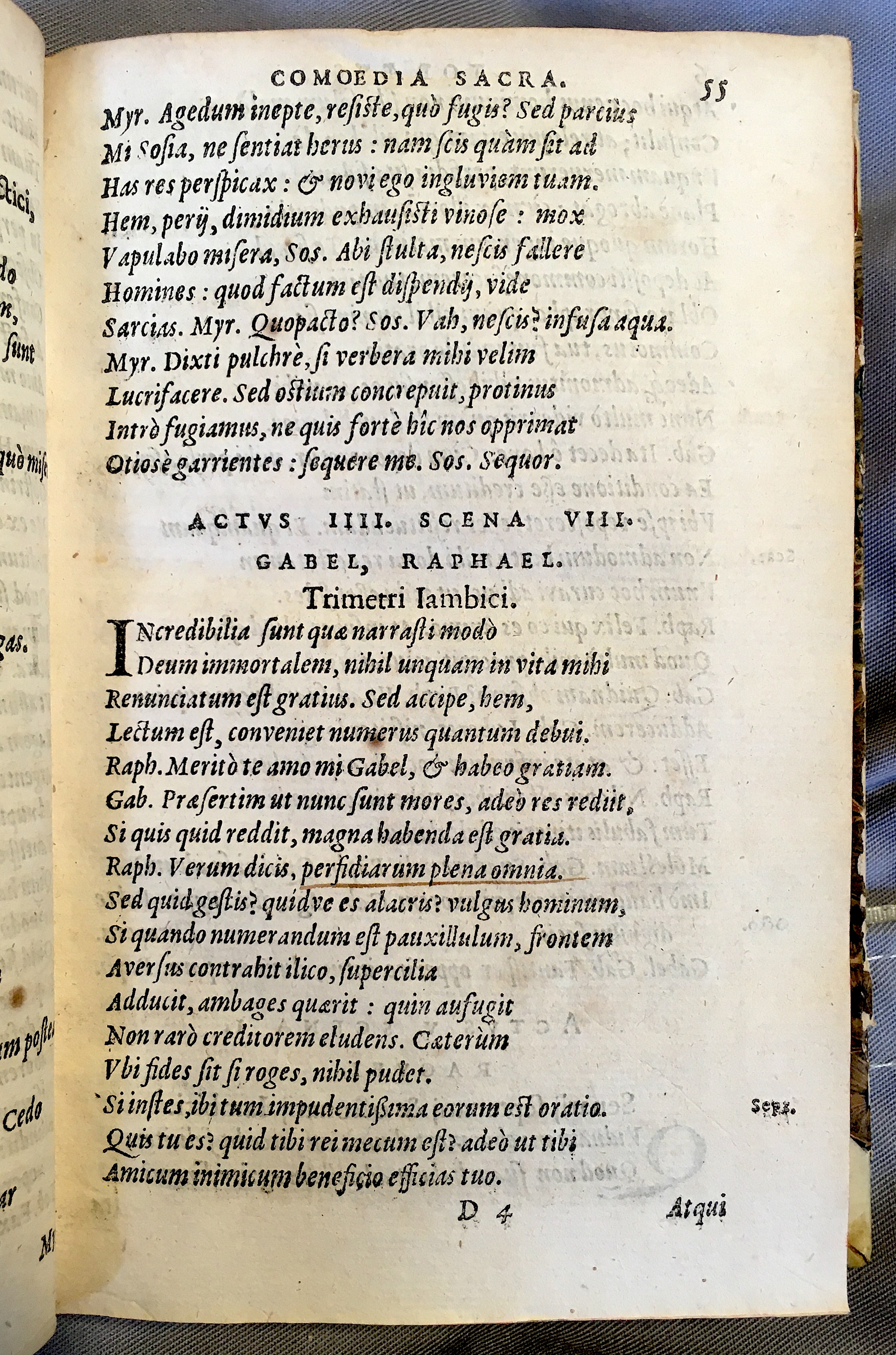 SchonaeusTobaeus1592p55.jpg