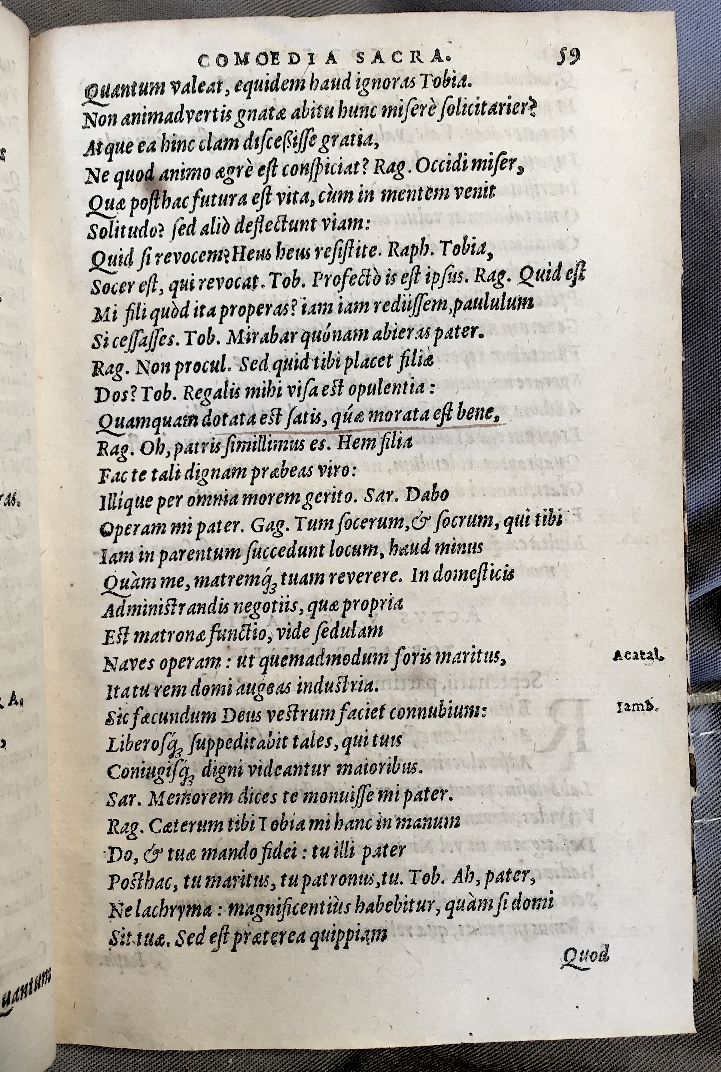 SchonaeusTobaeus1592p59.jpg