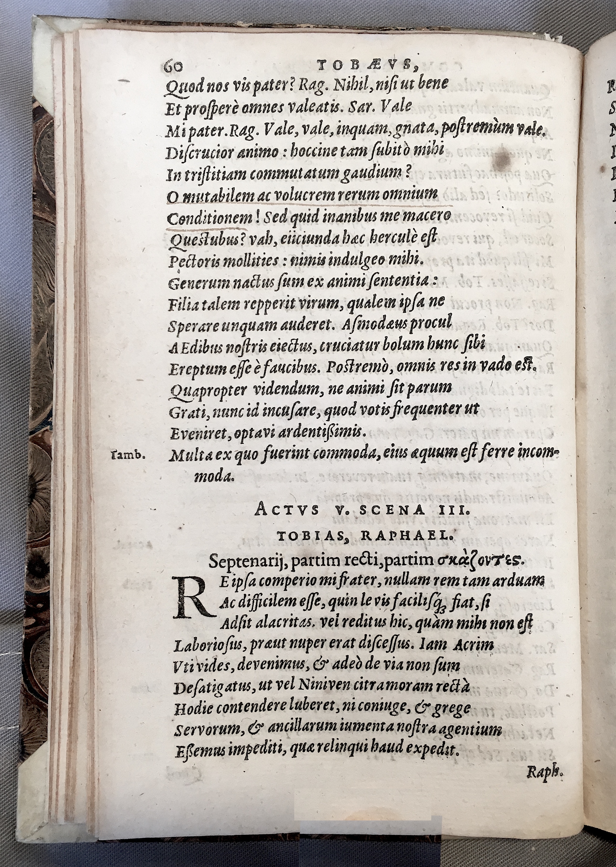 SchonaeusTobaeus1592p60.jpg