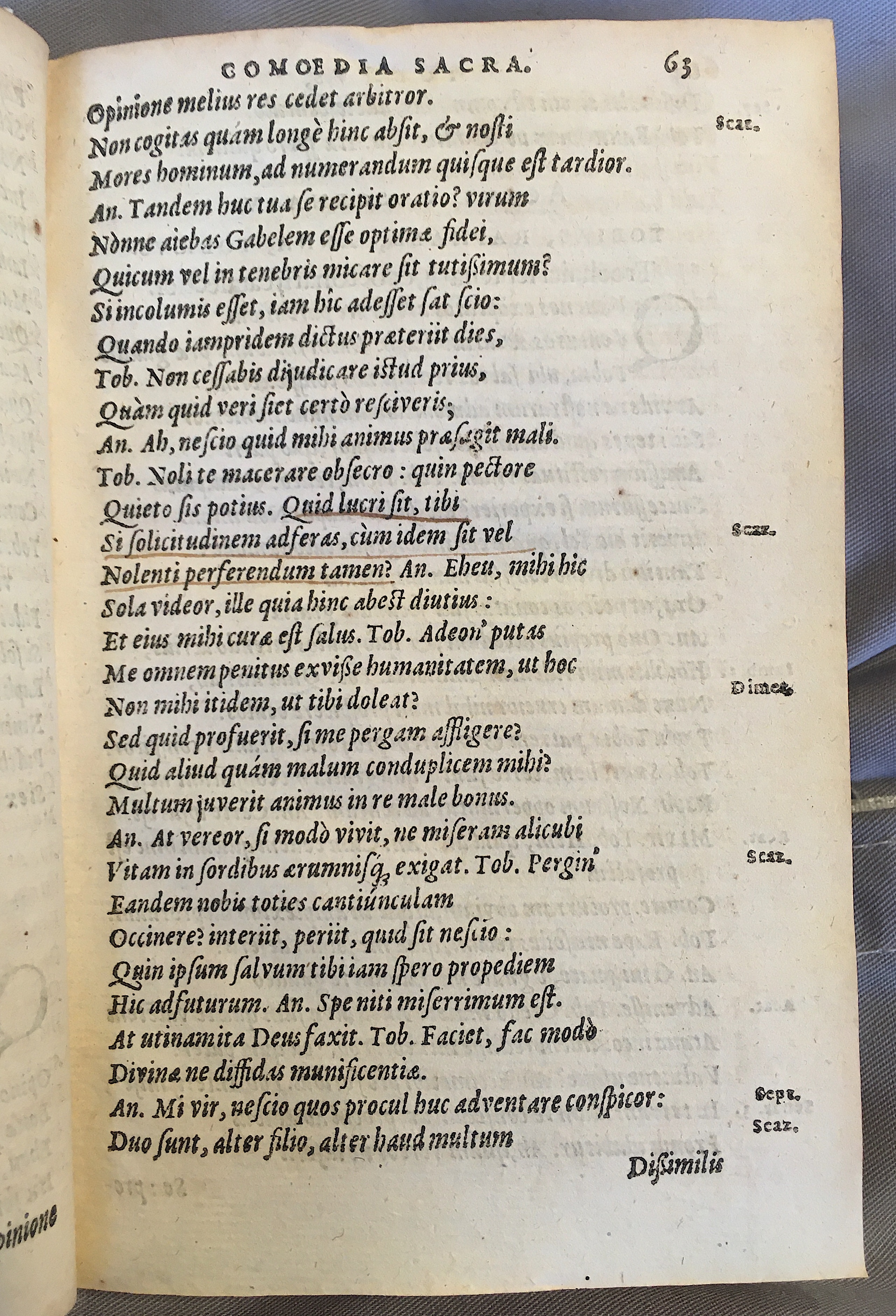 SchonaeusTobaeus1592p63.jpg