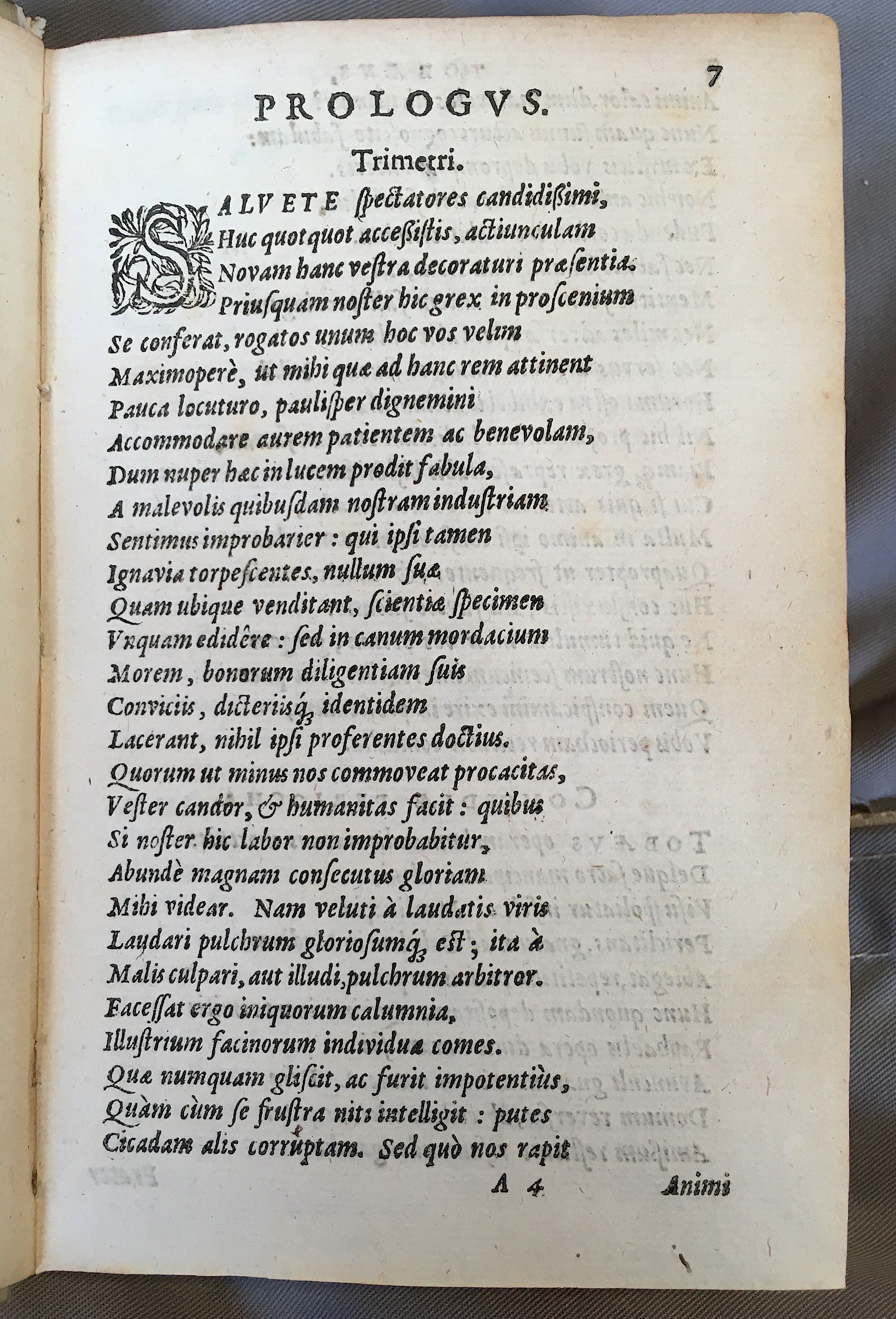 SchonaeusTobaeus1592p07