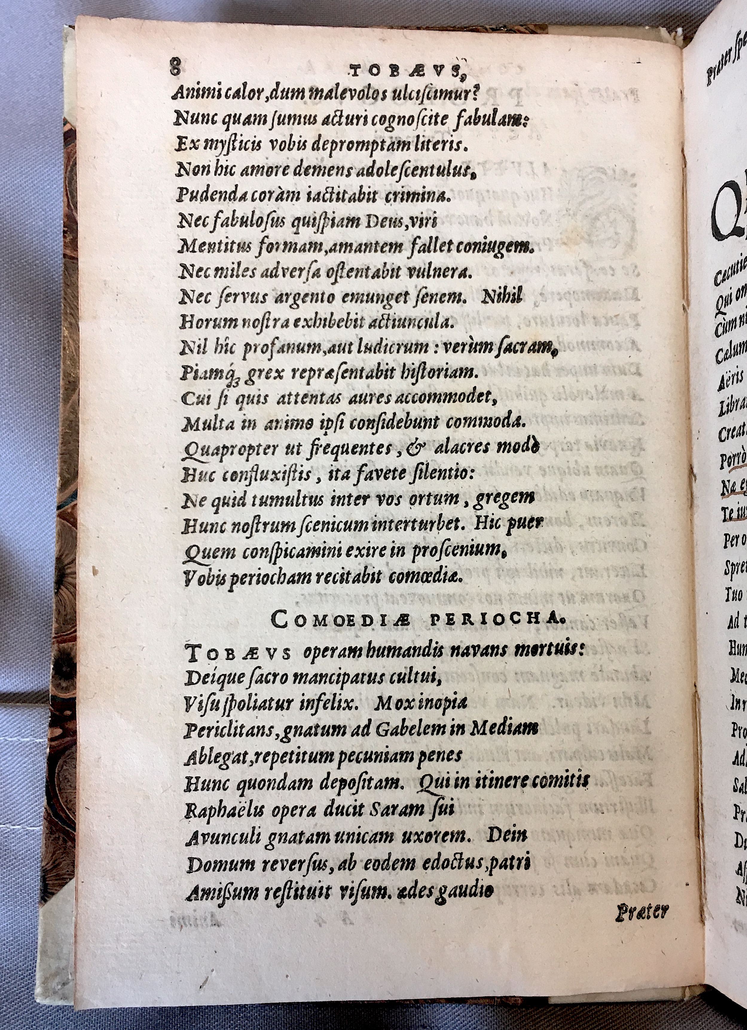 SchonaeusTobaeus1592p08