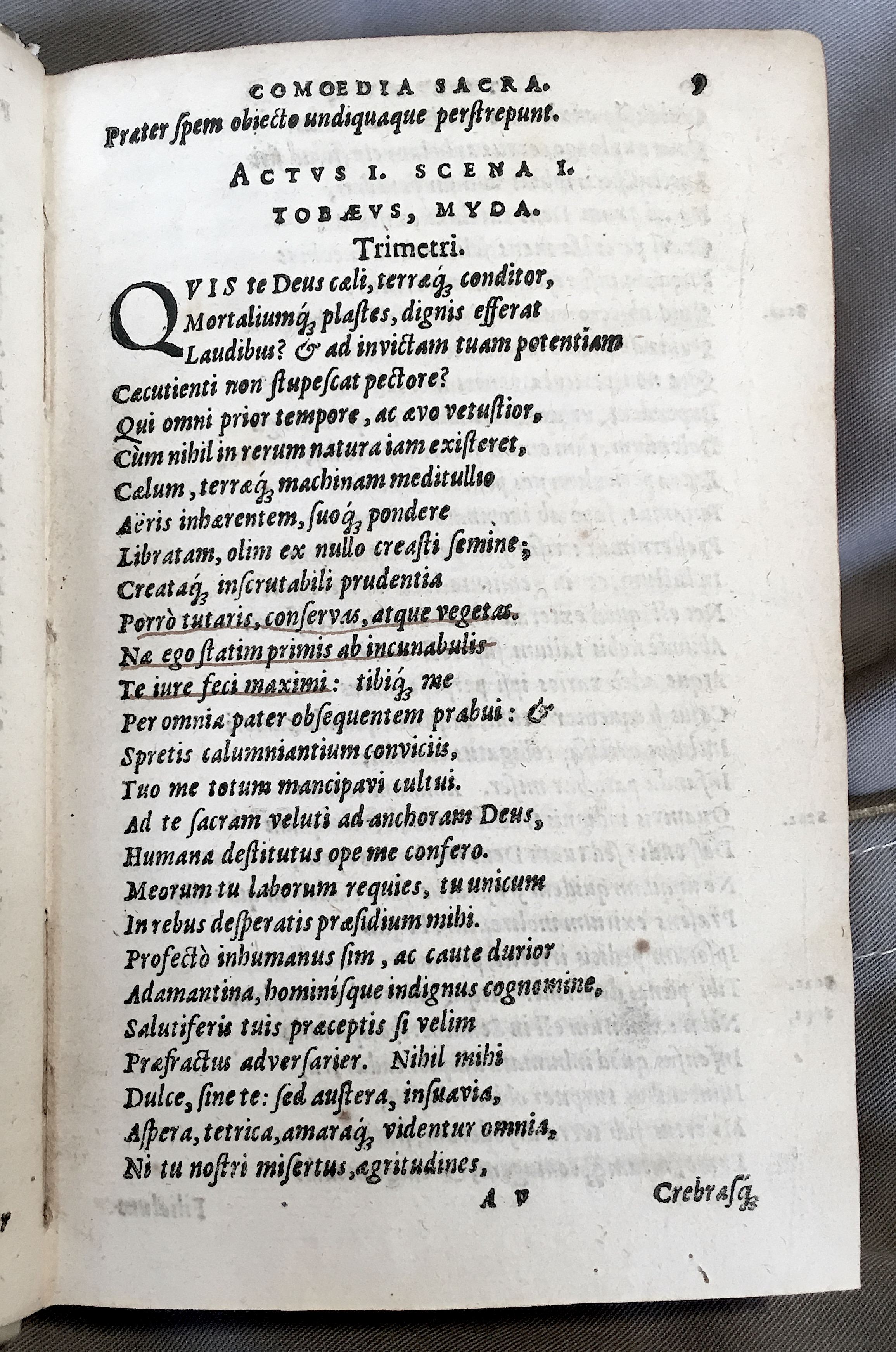 SchonaeusTobaeus1592p09