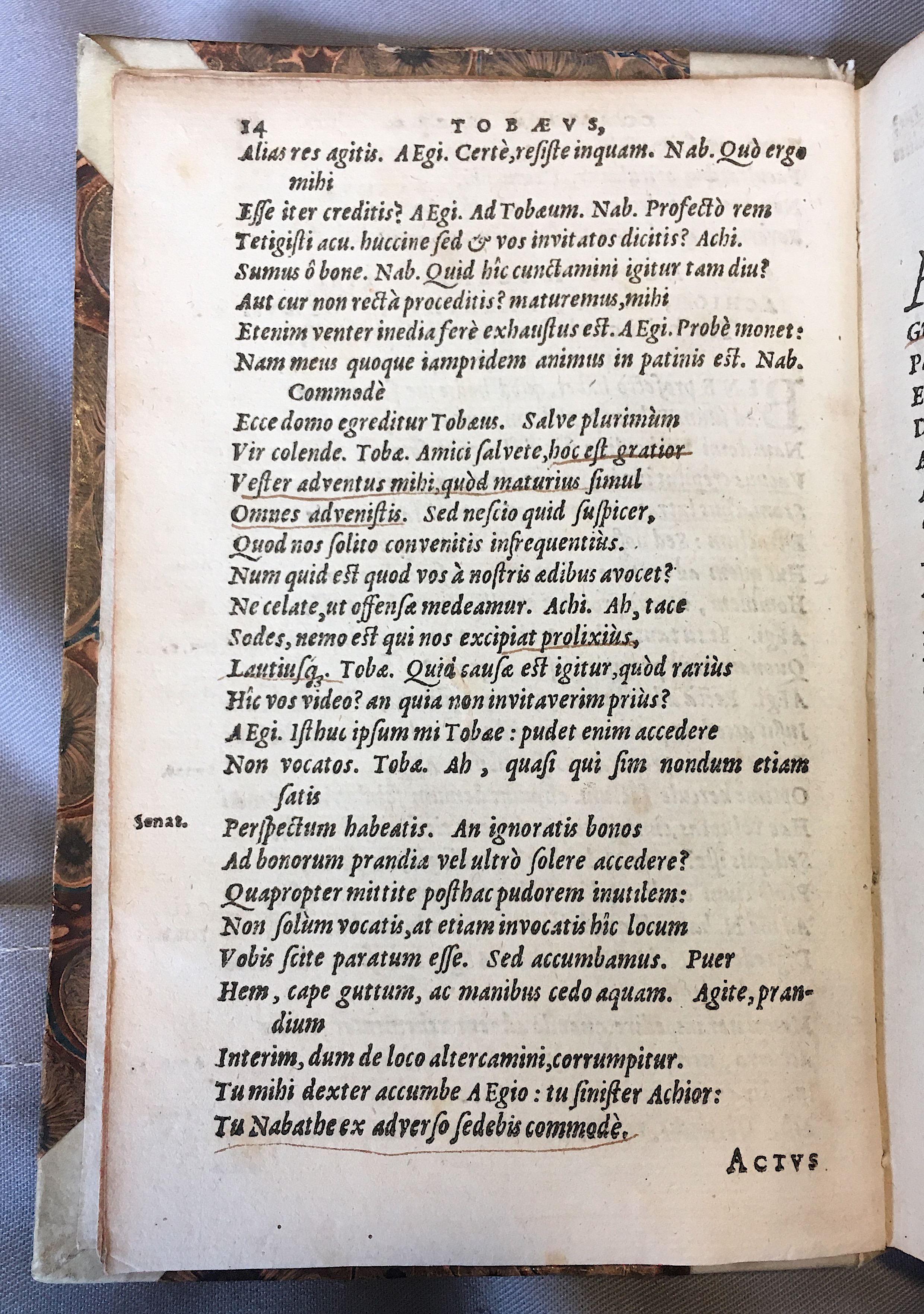 SchonaeusTobaeus1592p14