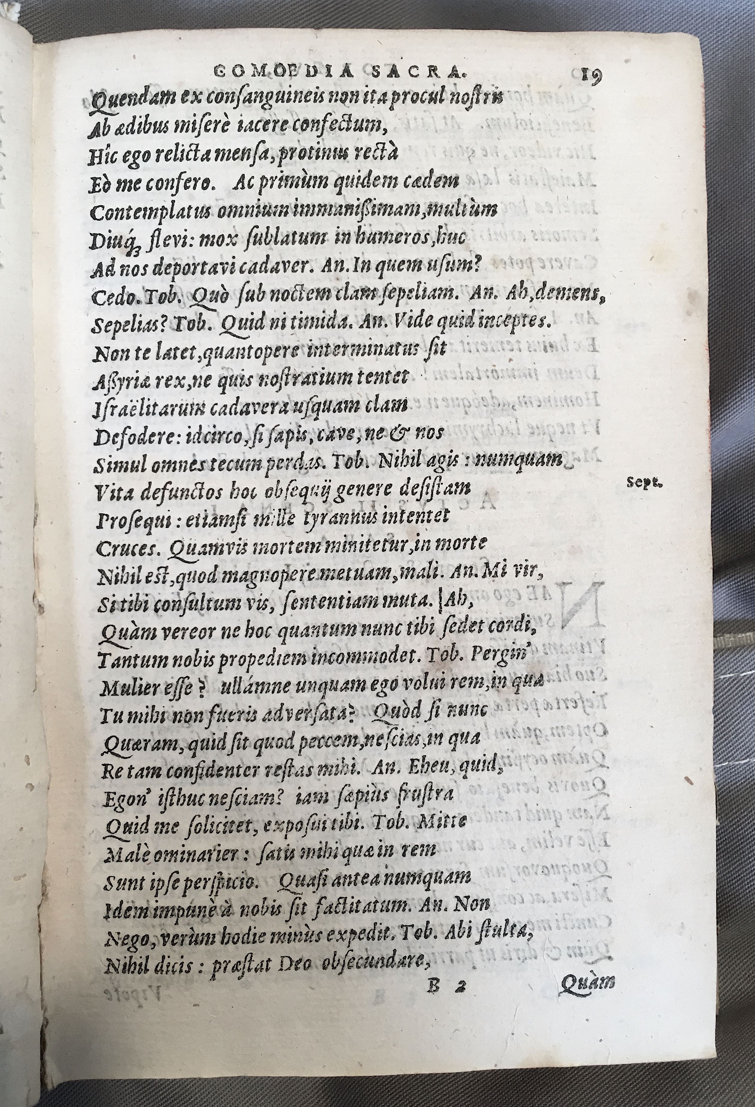 SchonaeusTobaeus1592p19