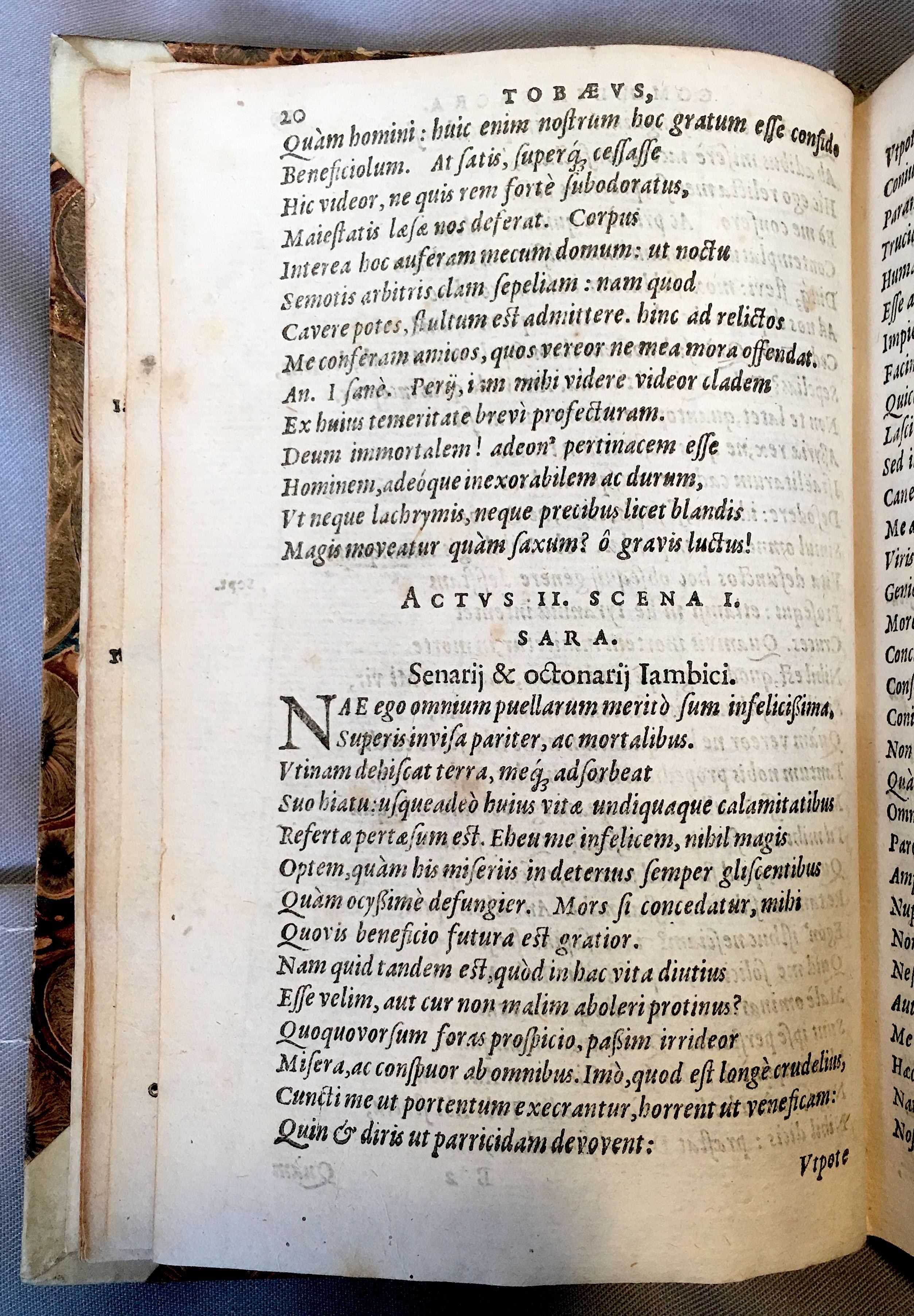 SchonaeusTobaeus1592p20