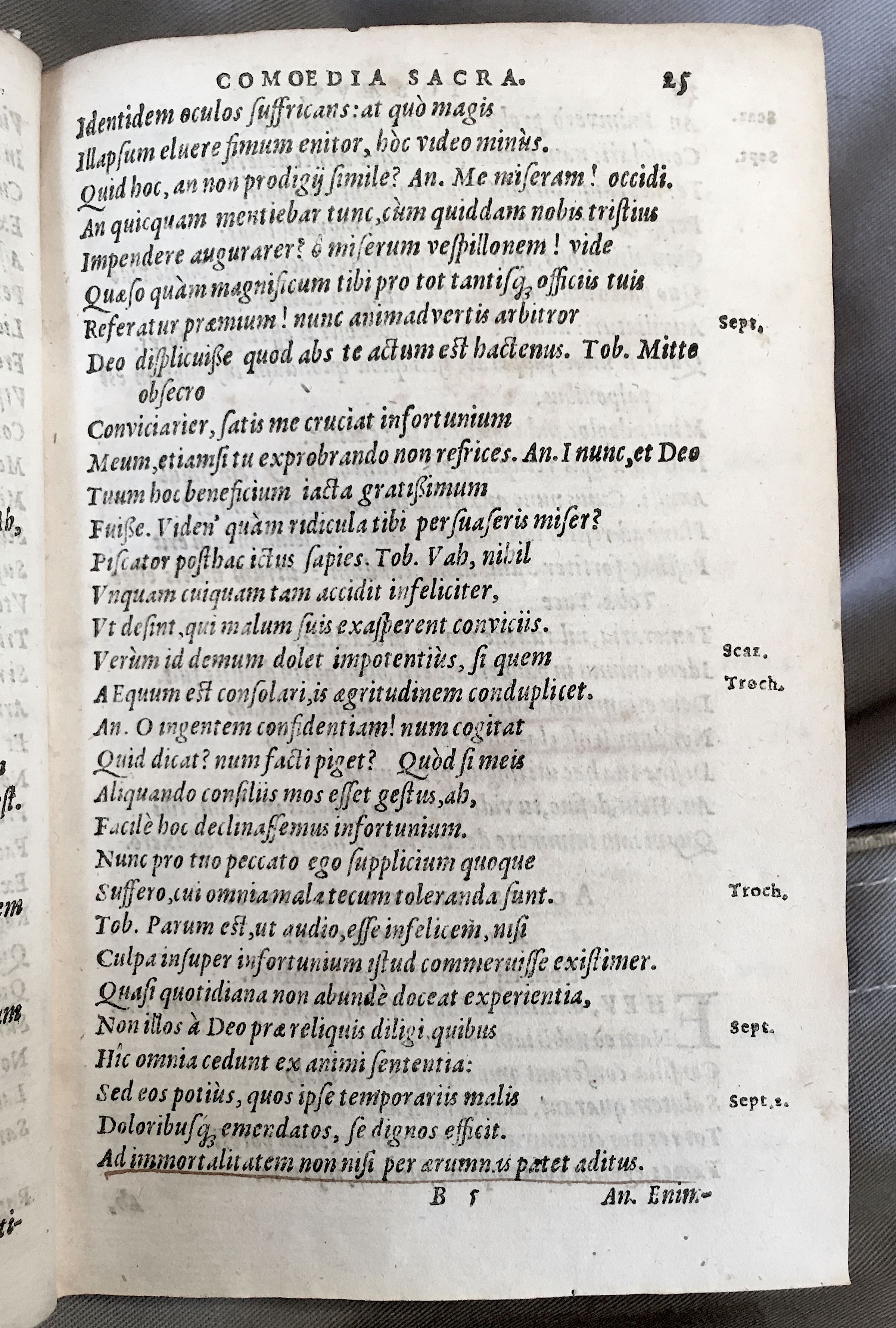 SchonaeusTobaeus1592p25