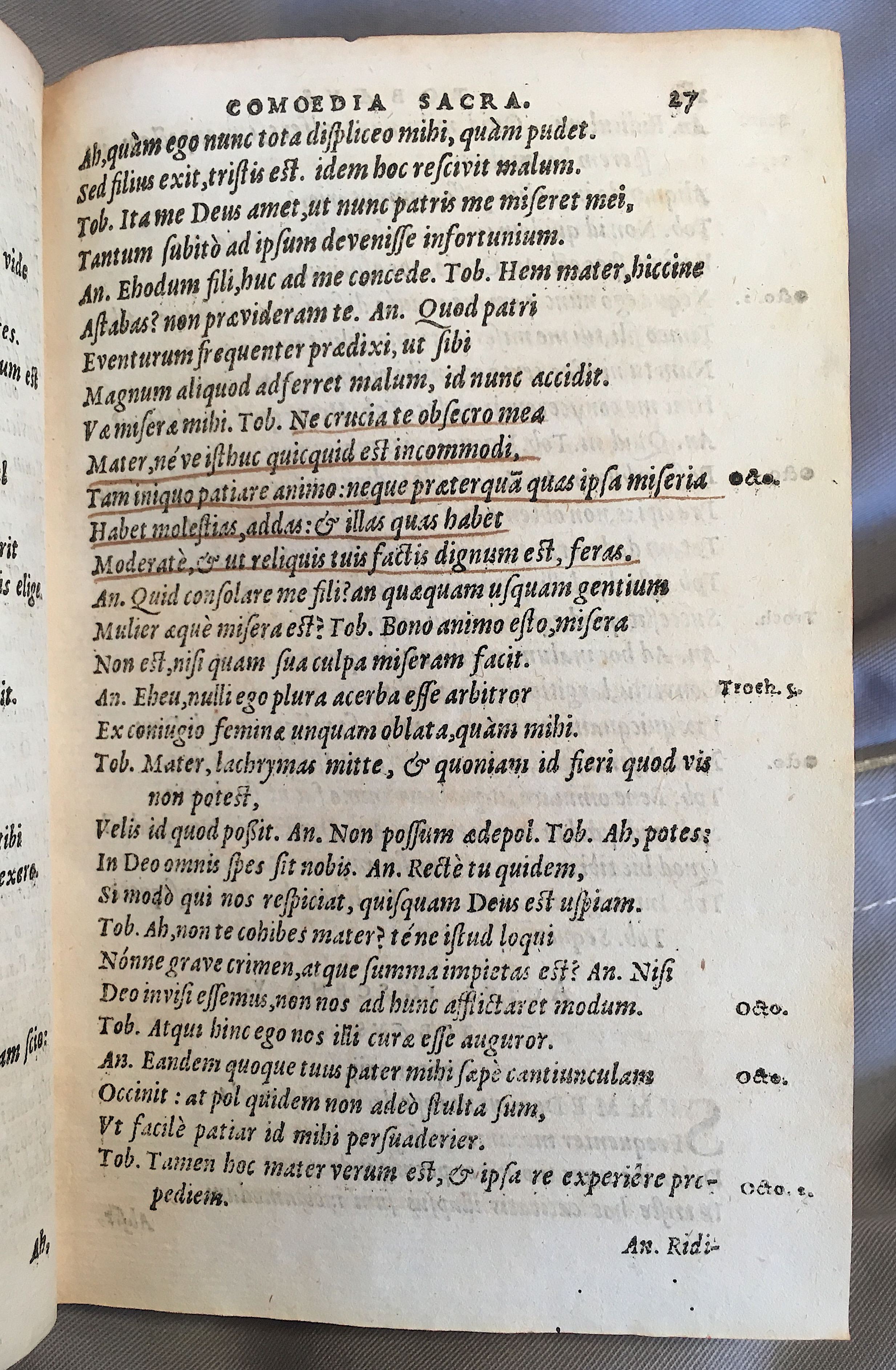 SchonaeusTobaeus1592p27