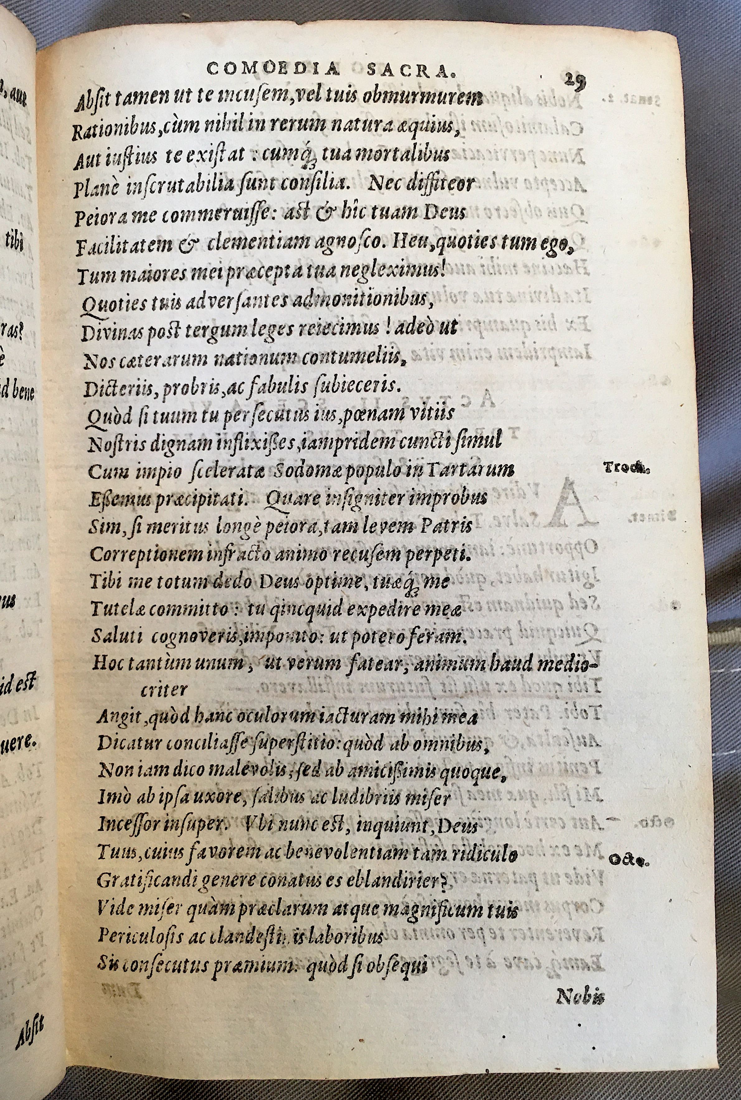 SchonaeusTobaeus1592p29