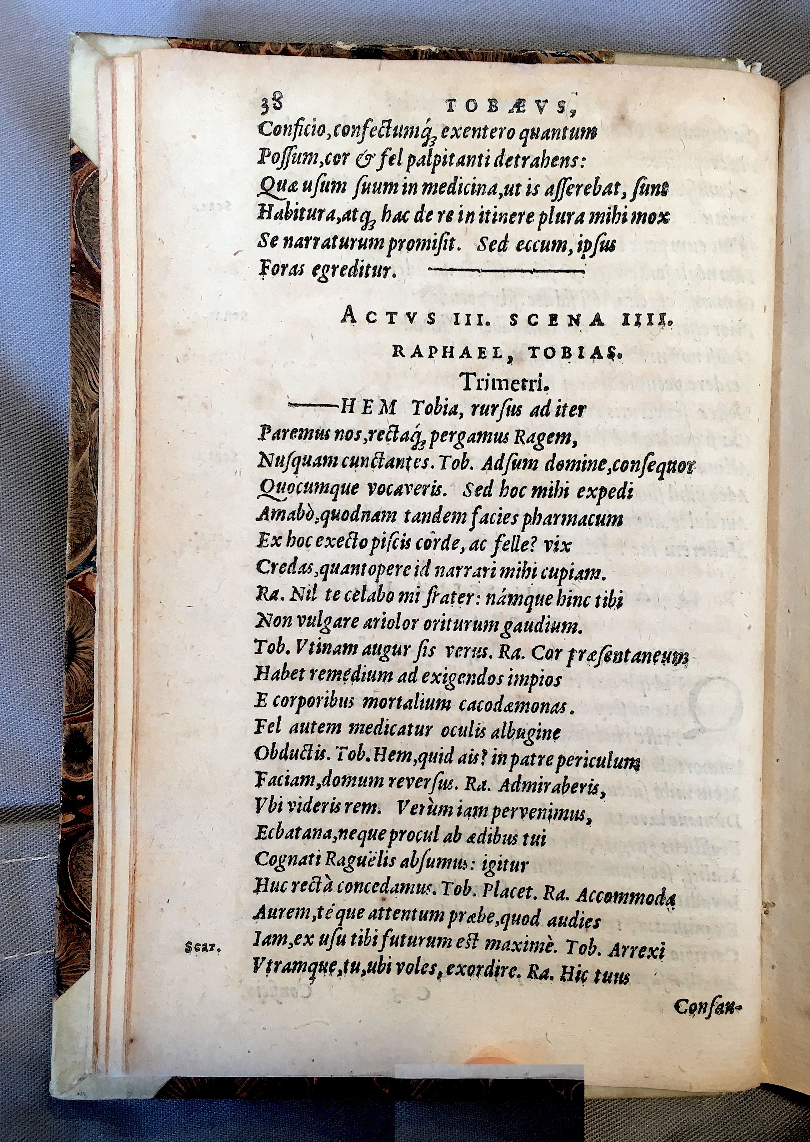 SchonaeusTobaeus1592p38