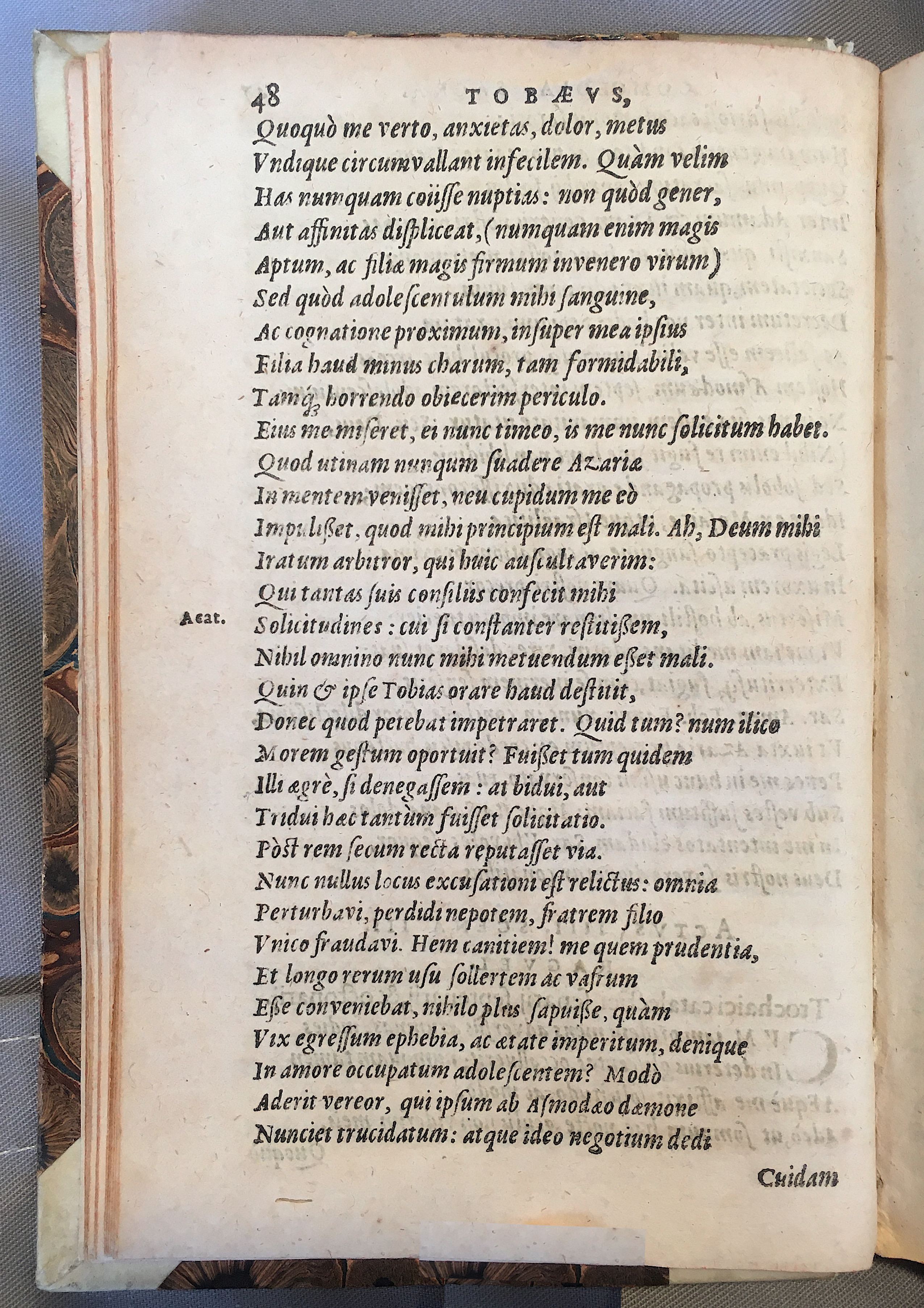 SchonaeusTobaeus1592p48