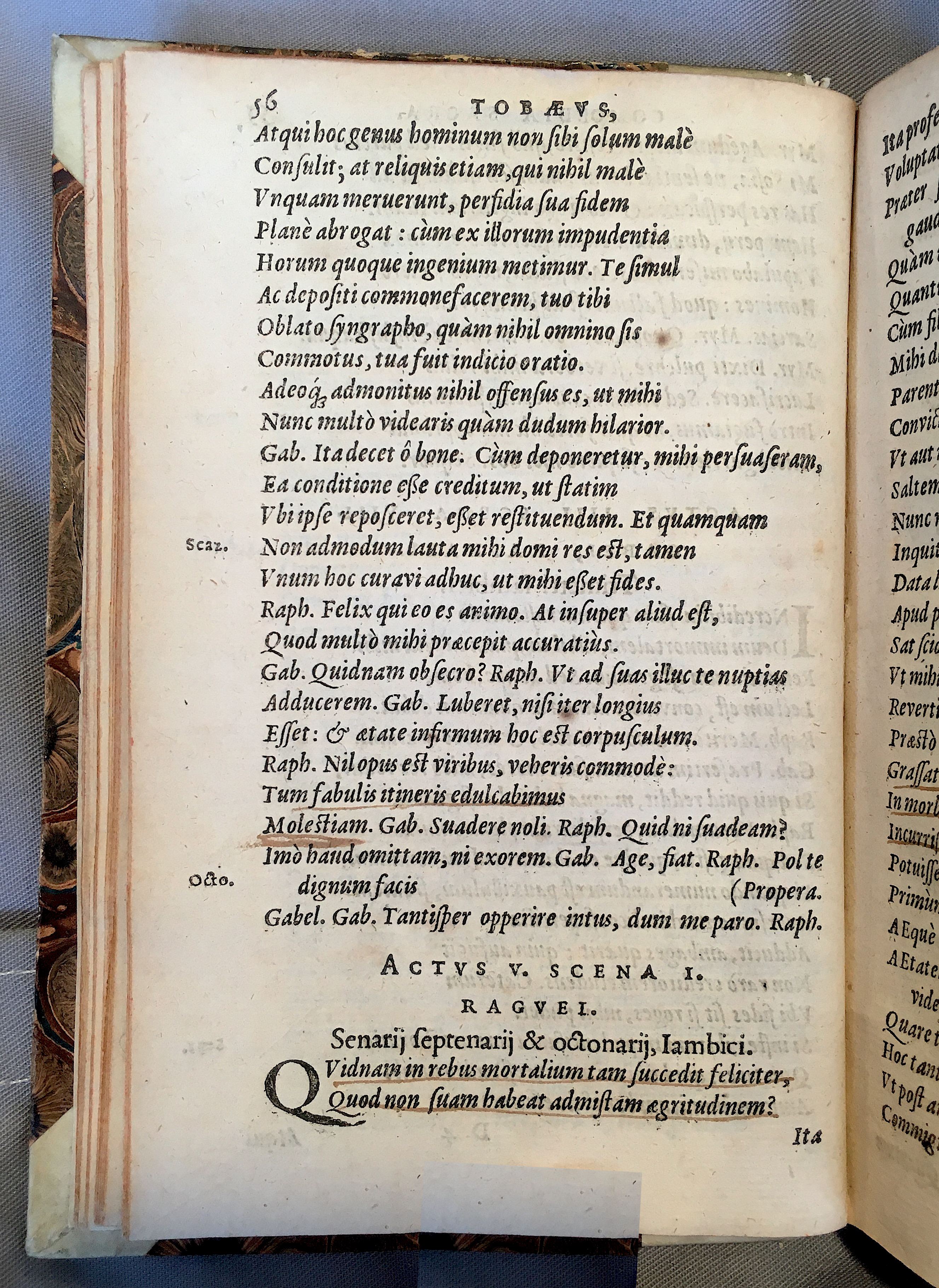 SchonaeusTobaeus1592p56