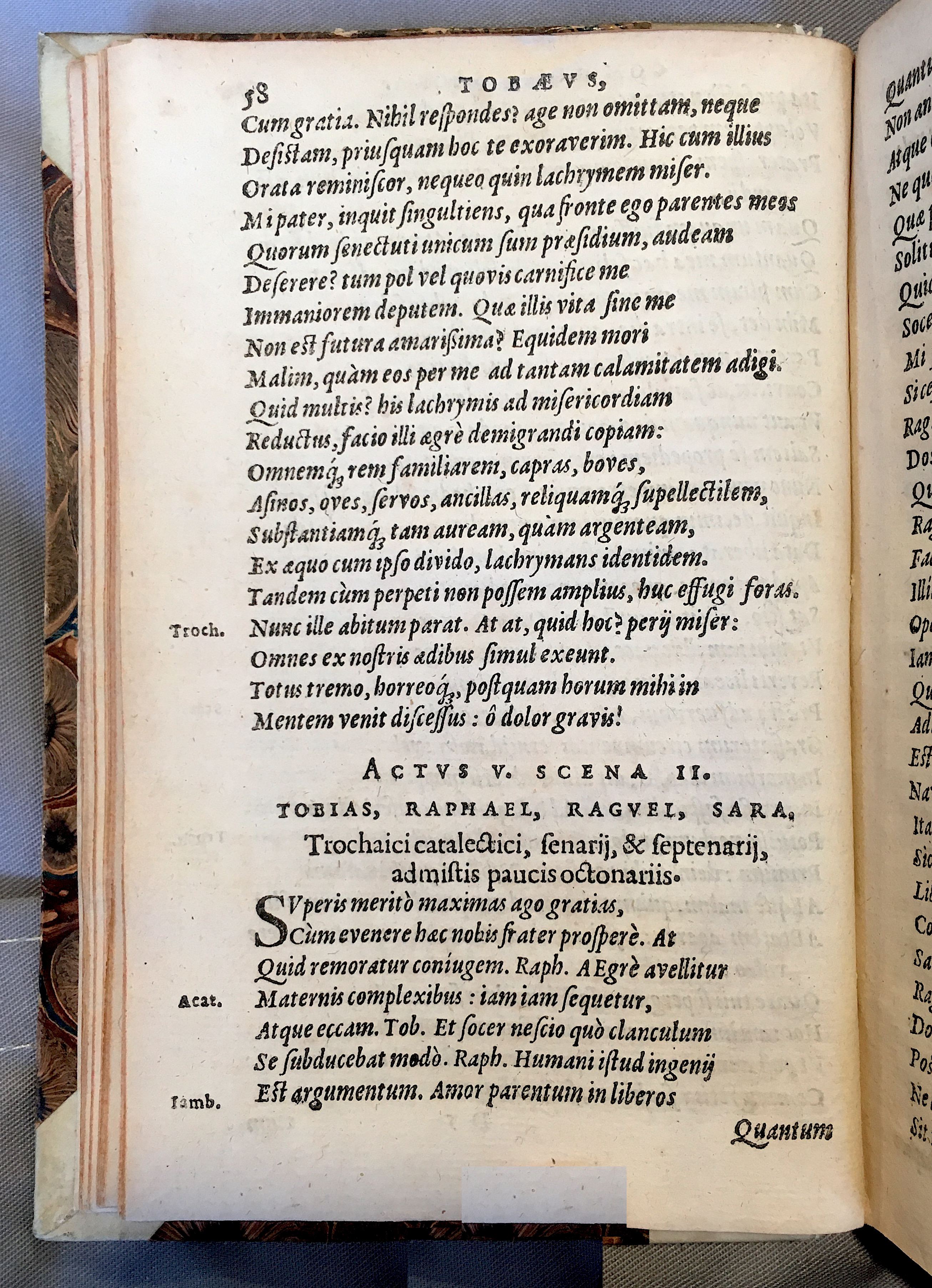 SchonaeusTobaeus1592p58