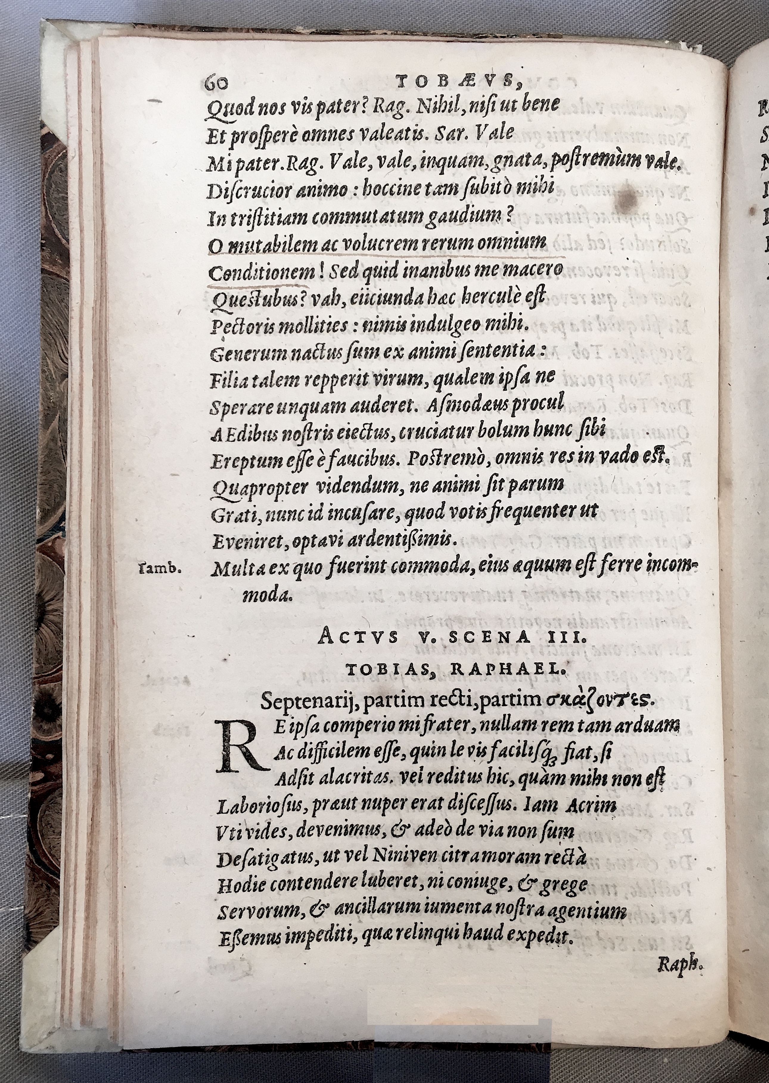 SchonaeusTobaeus1592p60