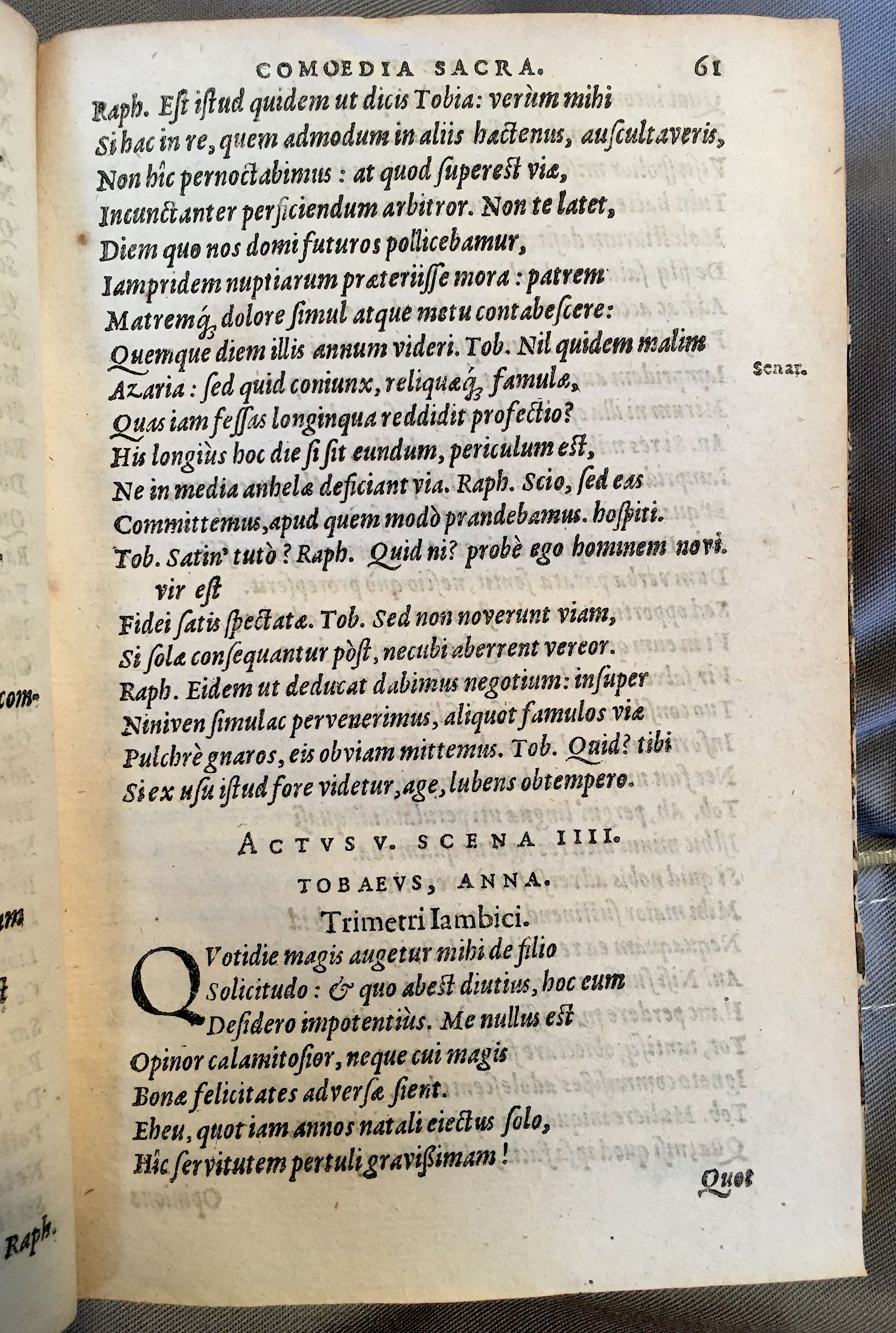 SchonaeusTobaeus1592p61