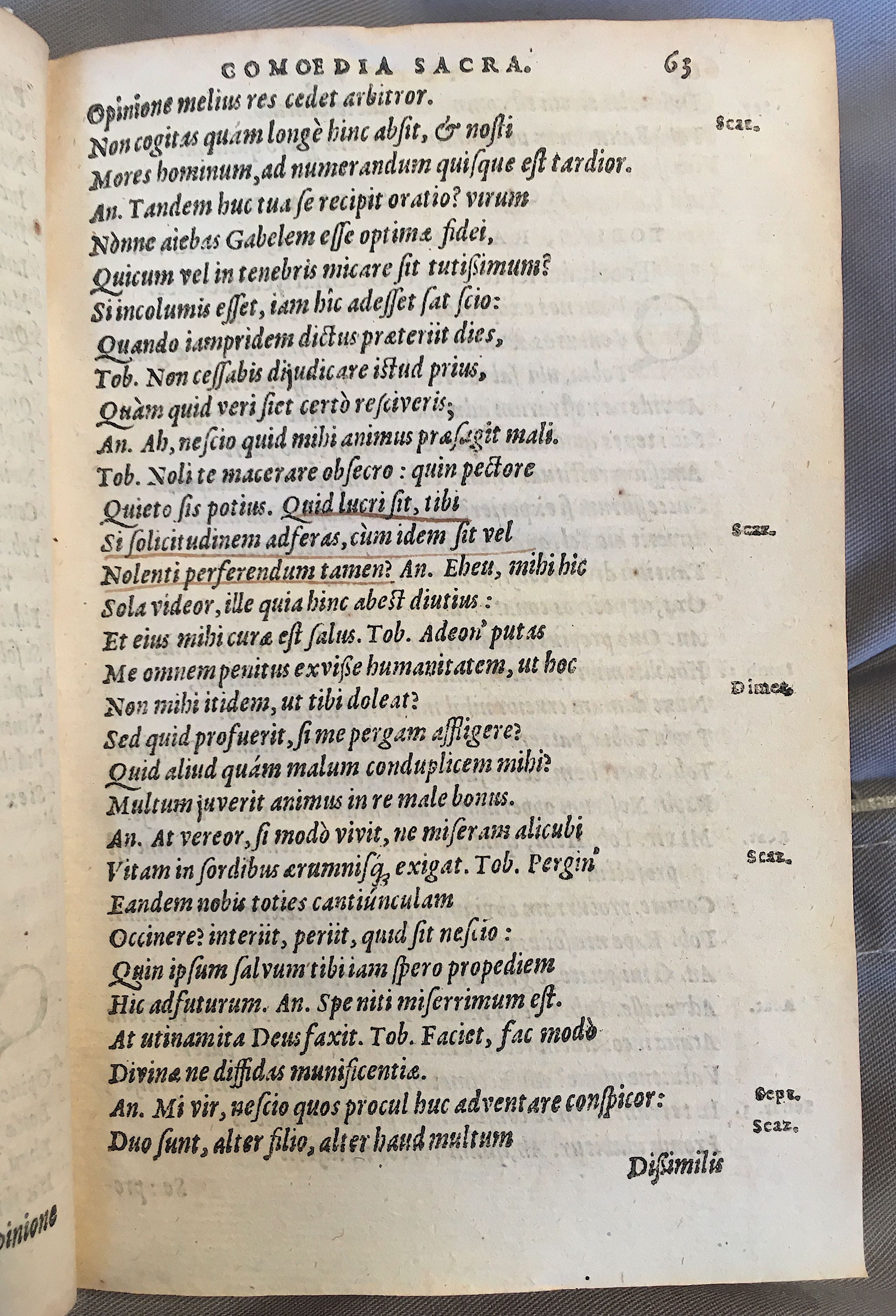 SchonaeusTobaeus1592p63