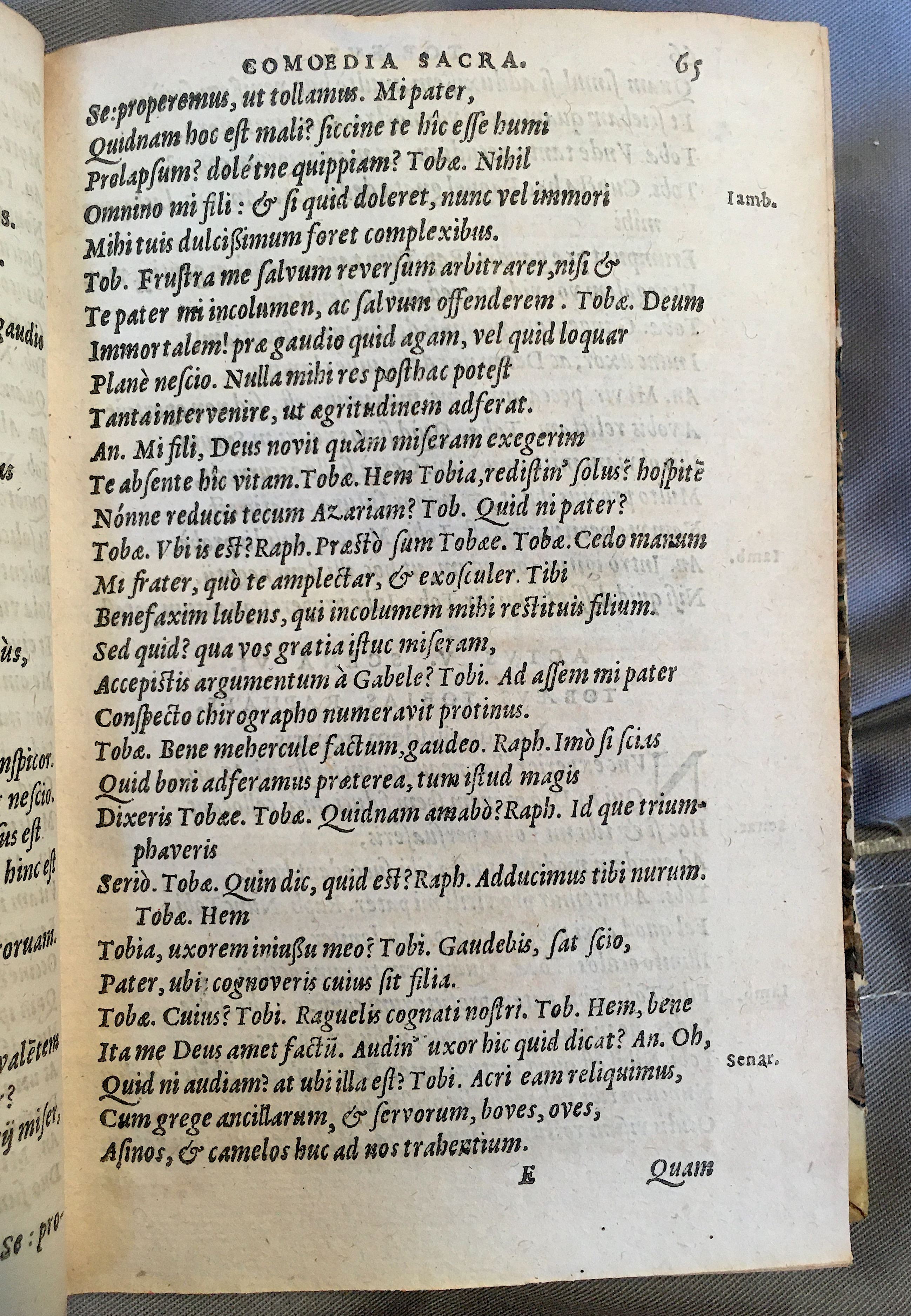 SchonaeusTobaeus1592p65