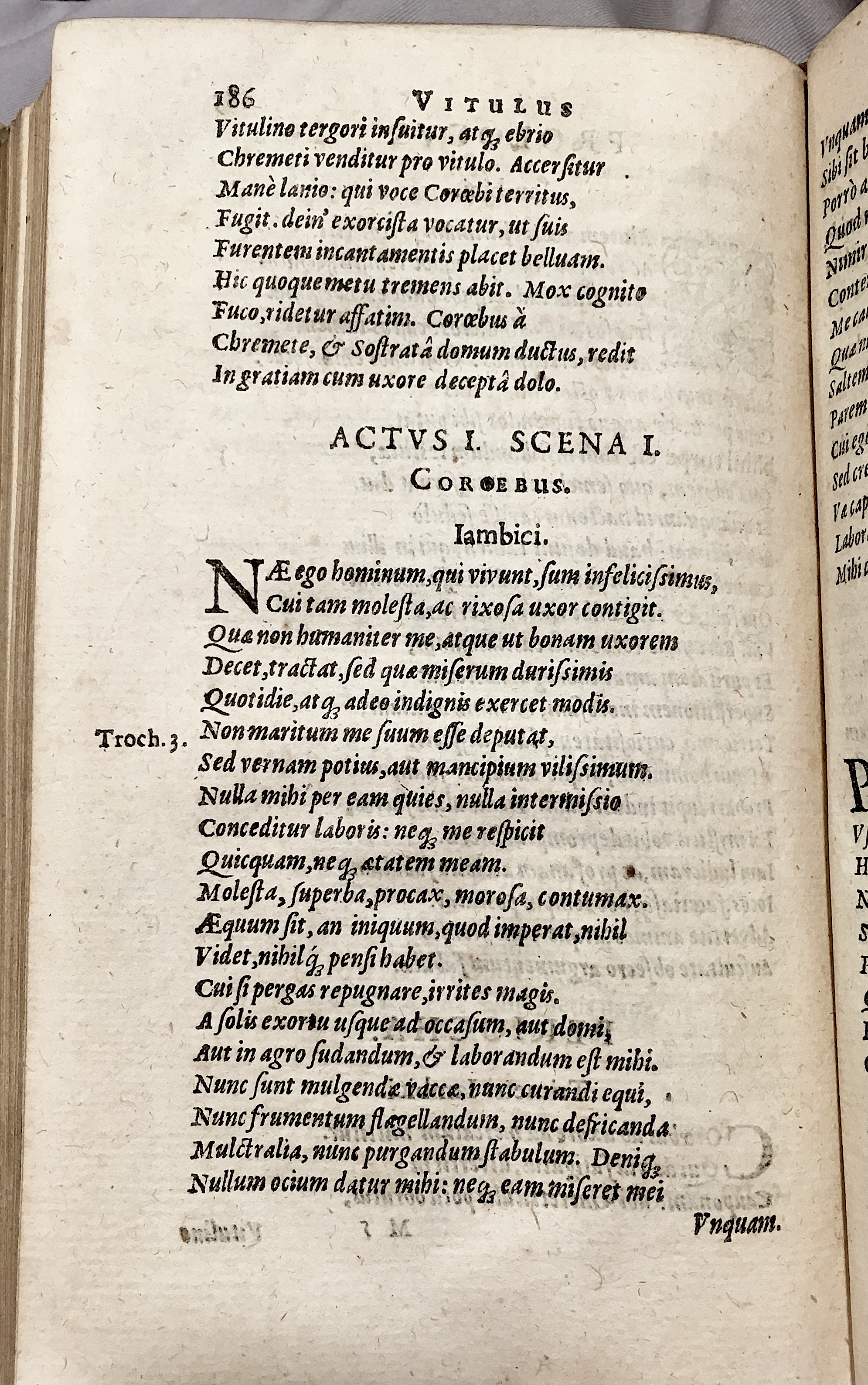 Schonaeus6Vitulus1599p186.jpg