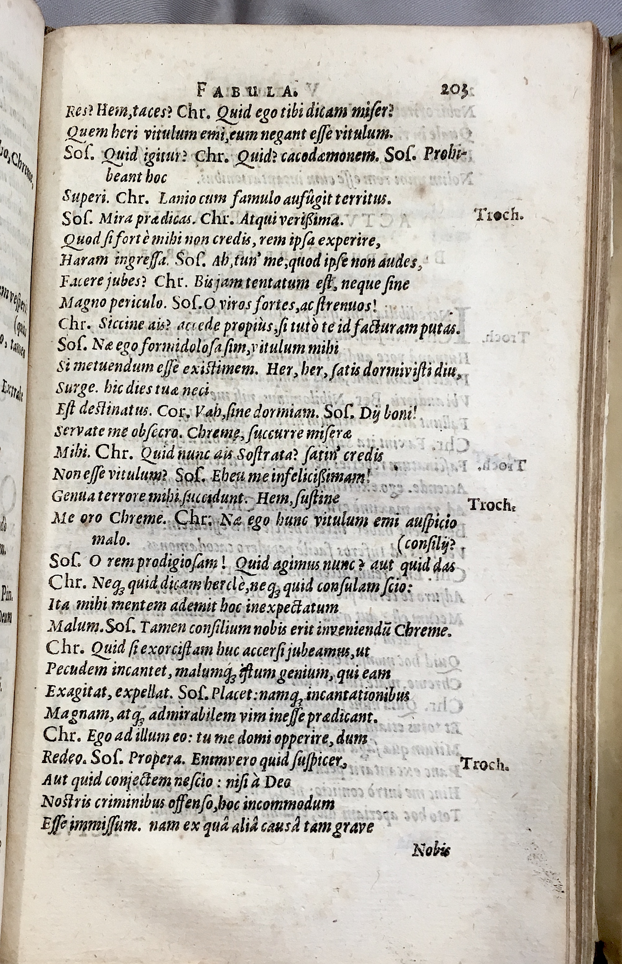 Schonaeus6Vitulus1599p203.jpg