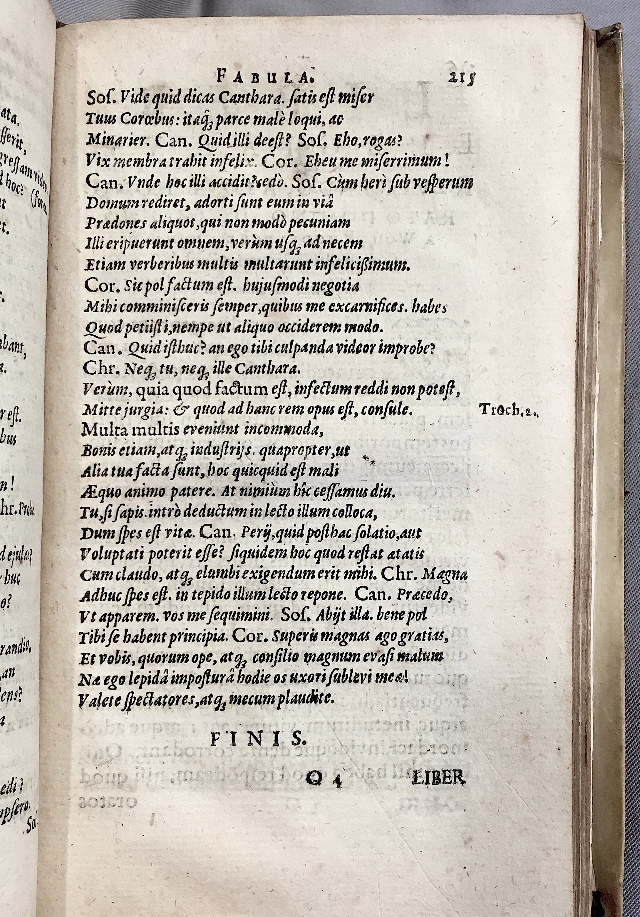 Schonaeus6Vitulus1599p215.jpg