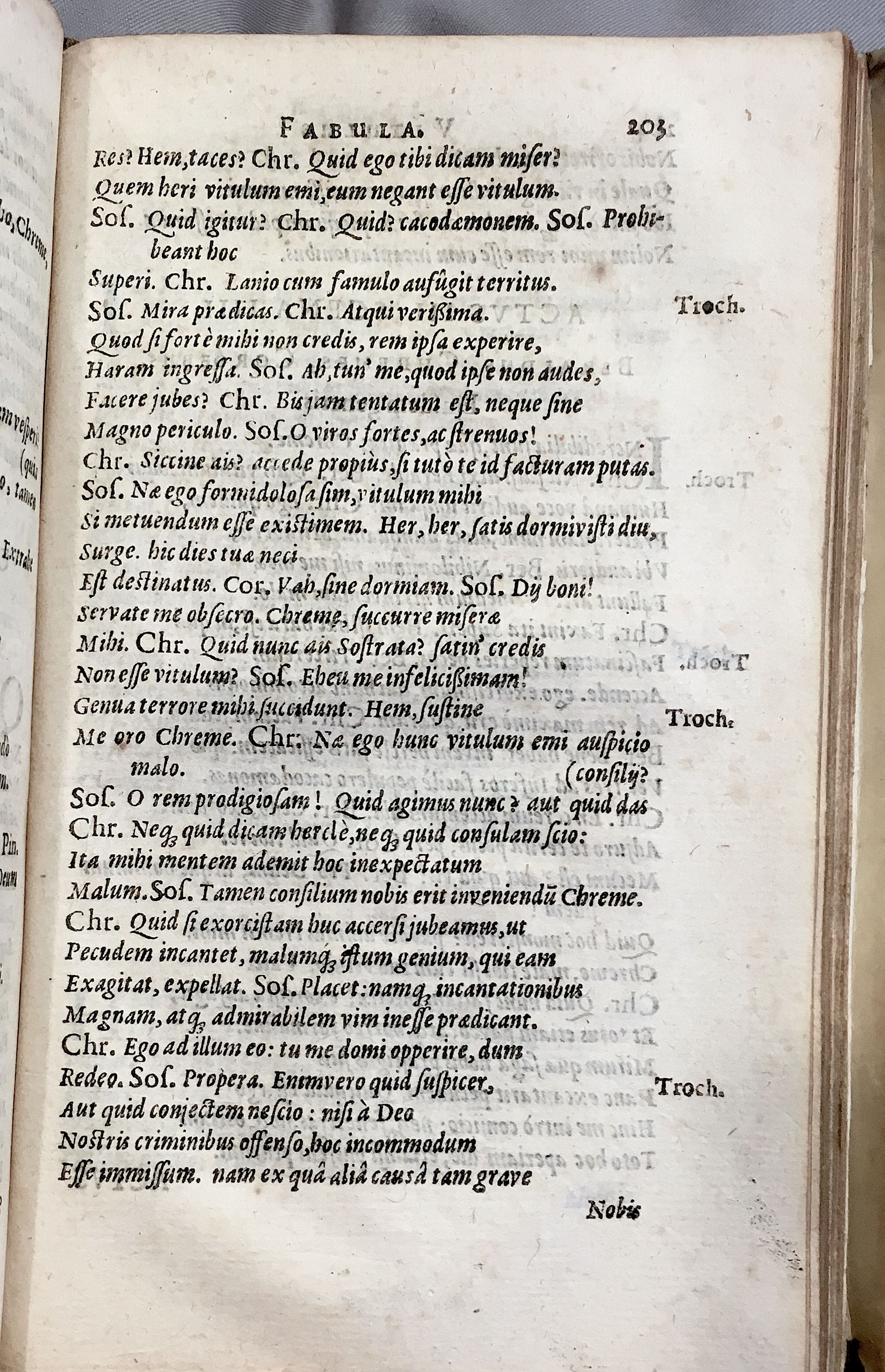 Schonaeus6Vitulus1599p203