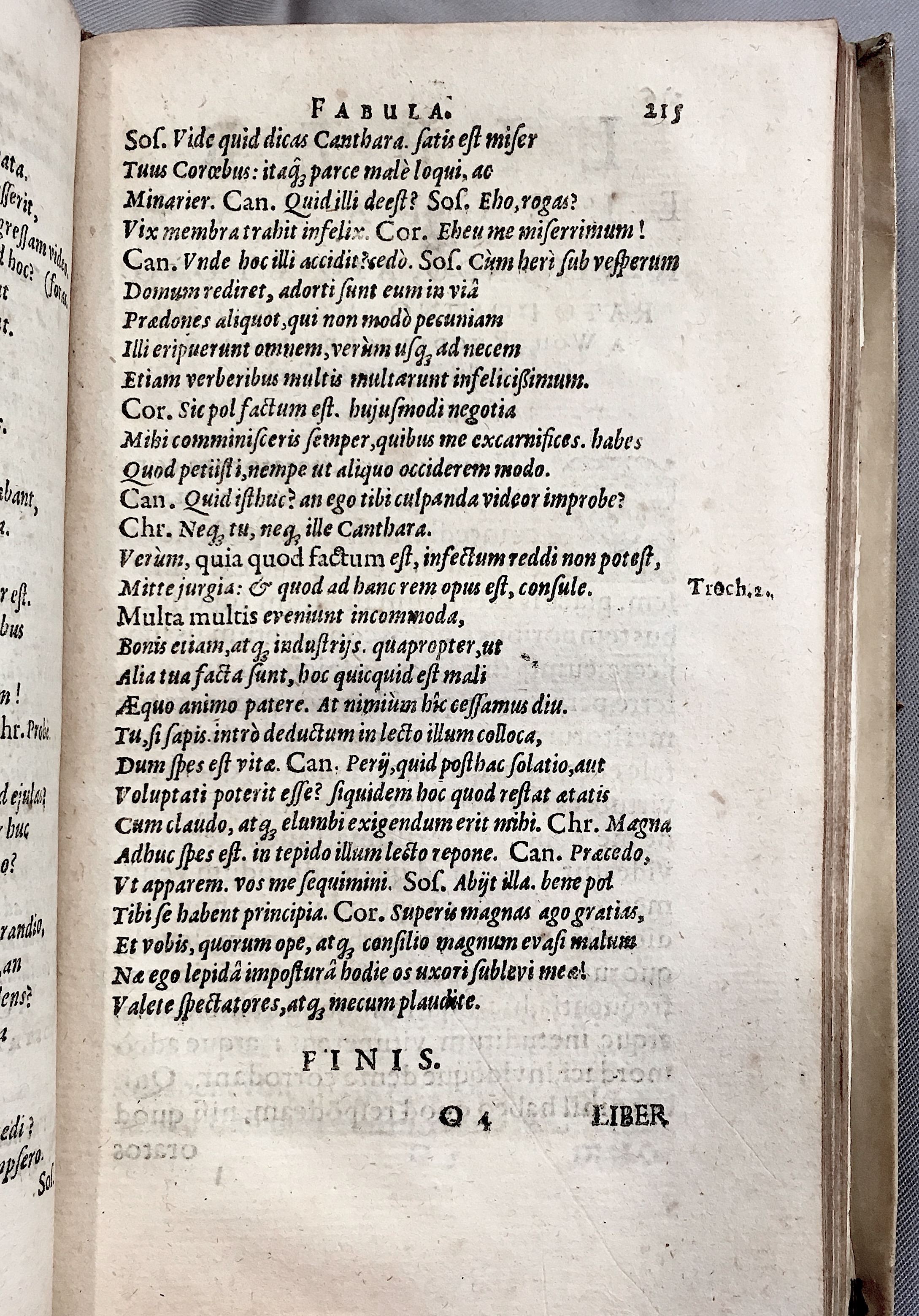 Schonaeus6Vitulus1599p215