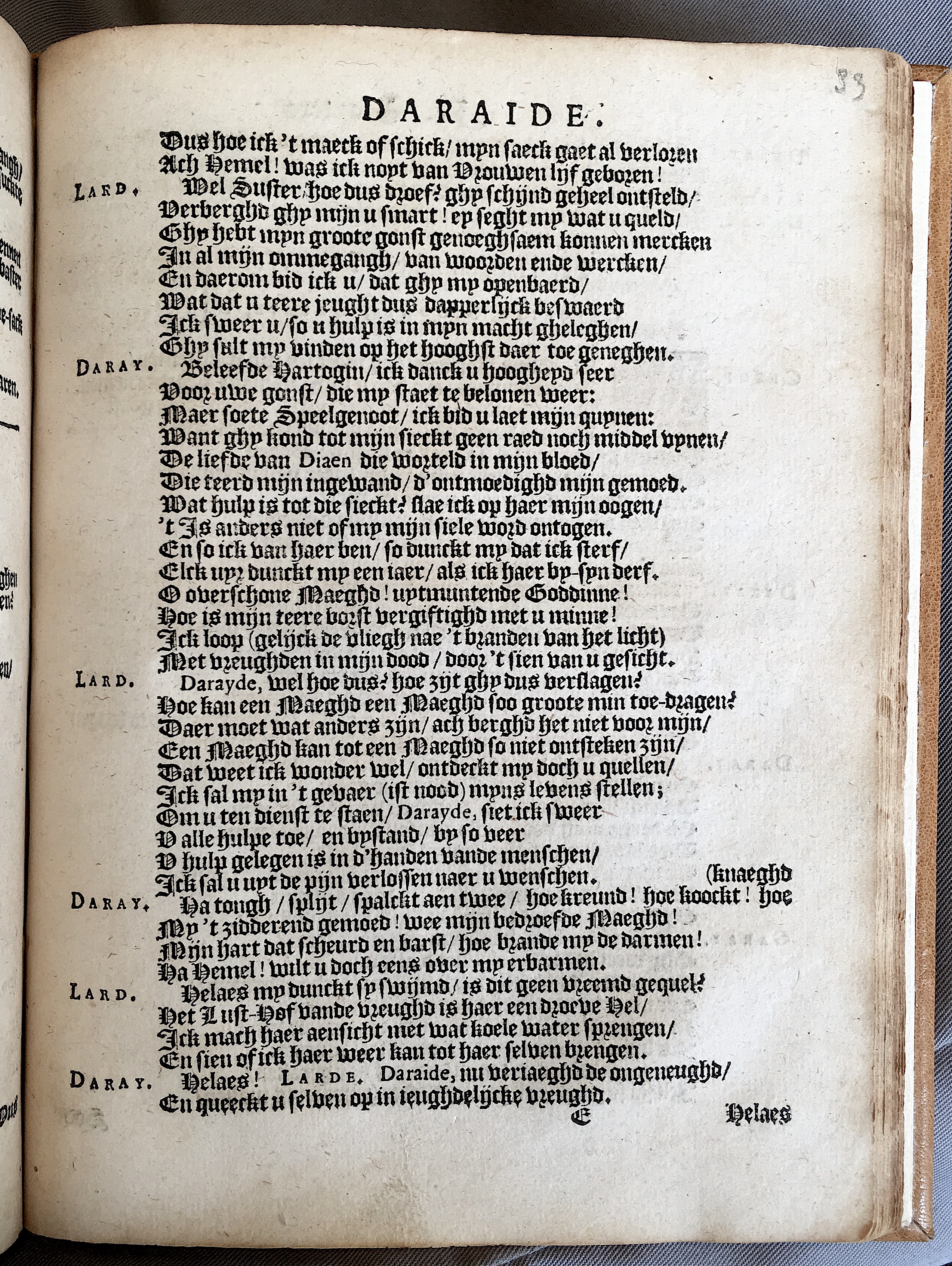 StarterDaraide1621p33.jpg