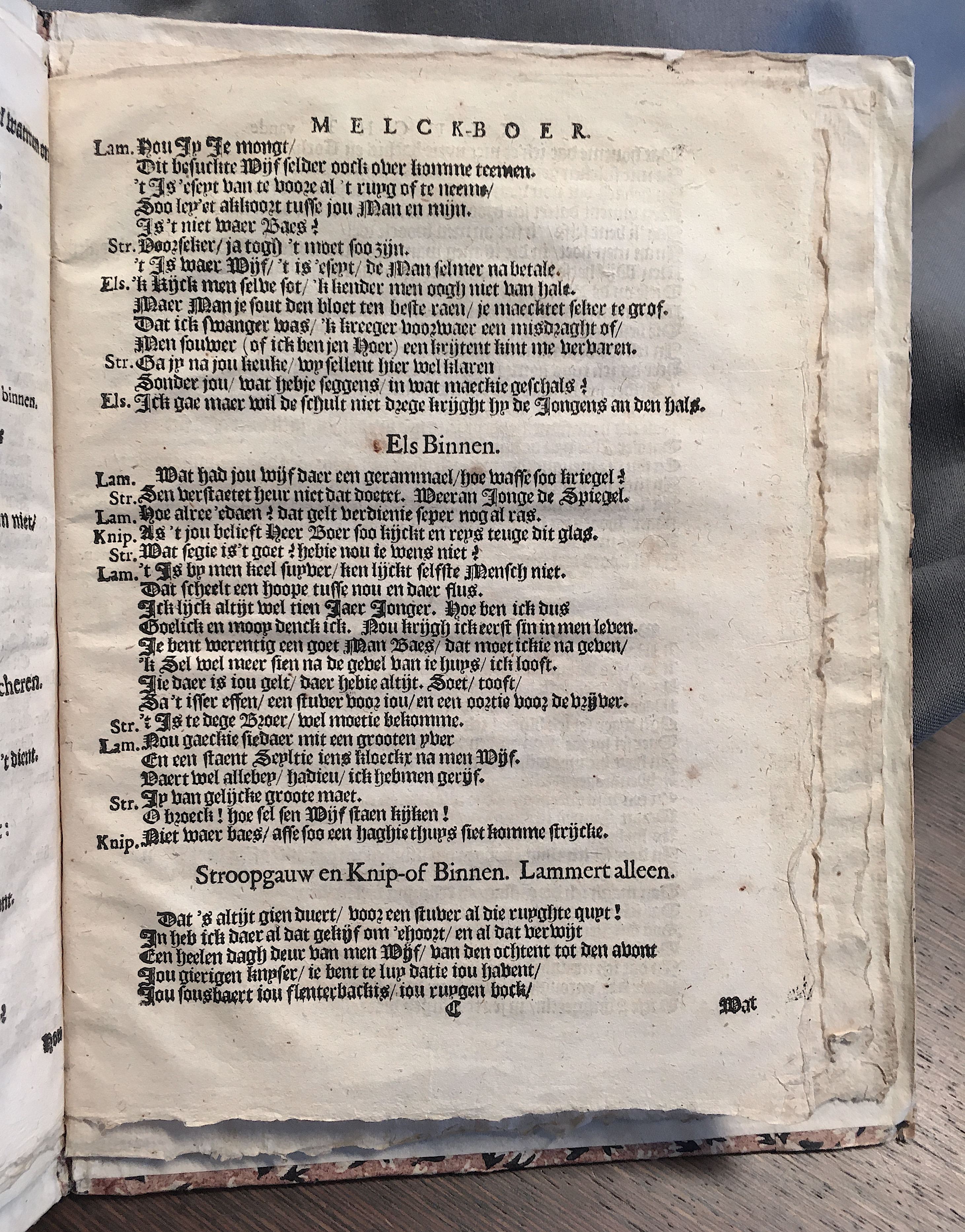 SteynLammertMeese1661p17