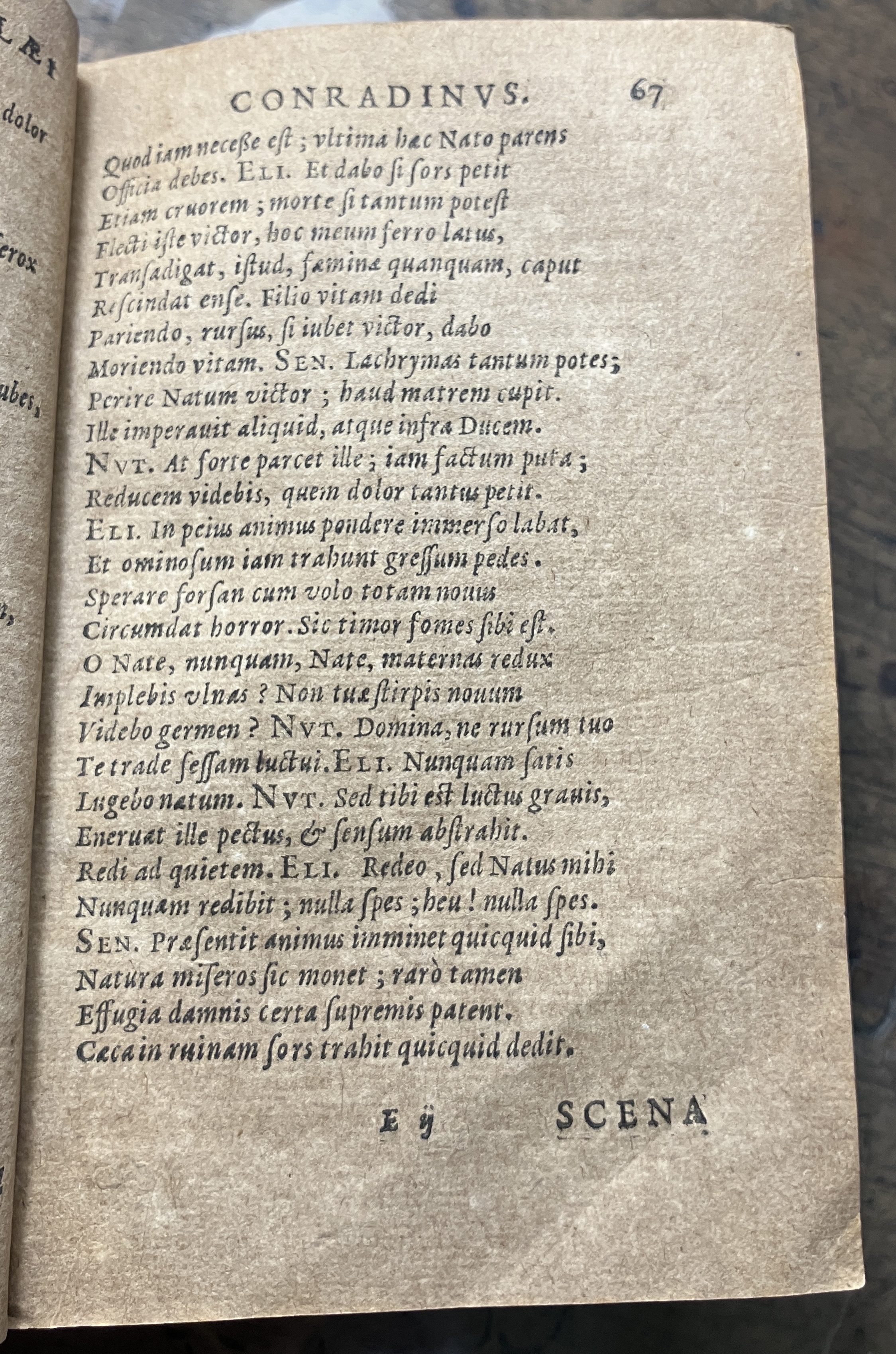 VernulaeusConradinus1631p067