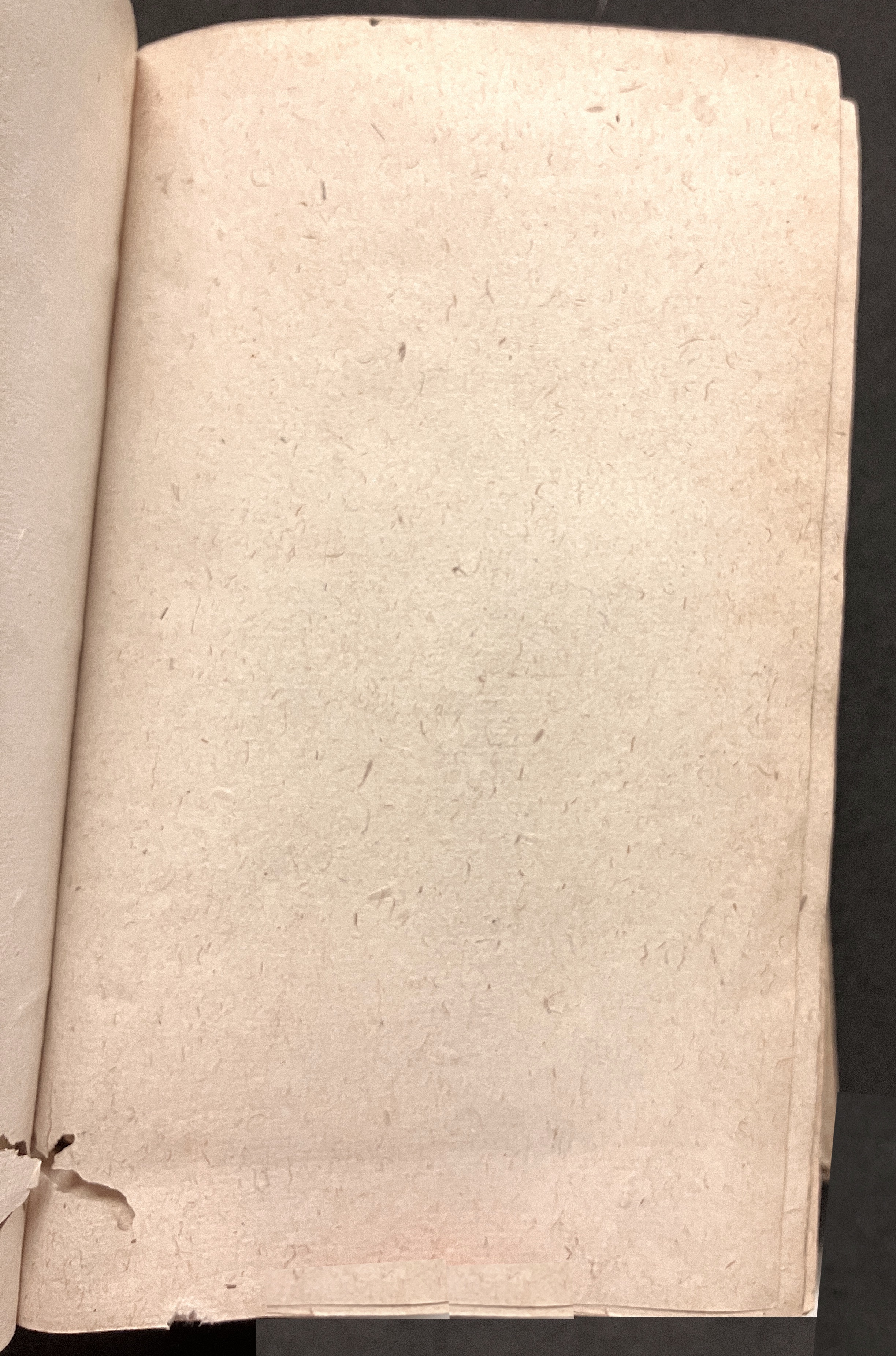 VernulaeusConradinusCrispus1628a01