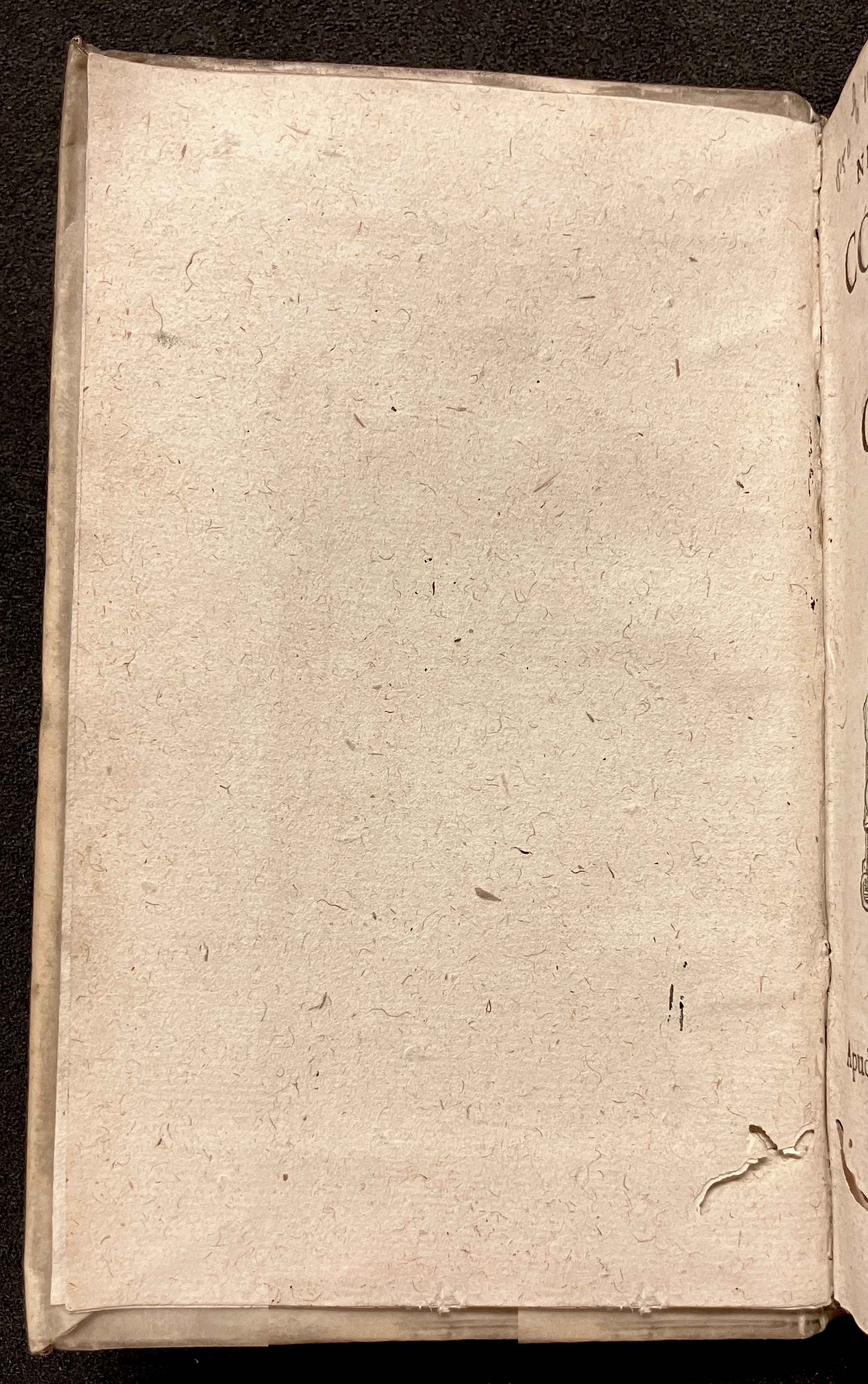 VernulaeusConradinusCrispus1628a02